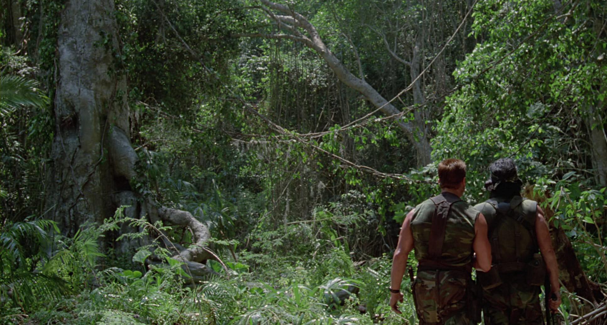 Predator (1987) —  shot,  lighting