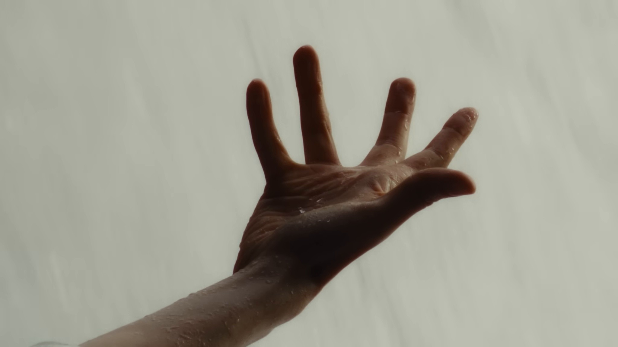 Heaven (Butterflies) (2025) —  shot,  lighting