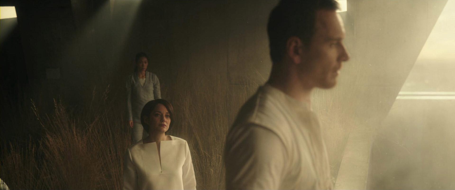 Assassin's Creed (2016) —  shot,  lighting