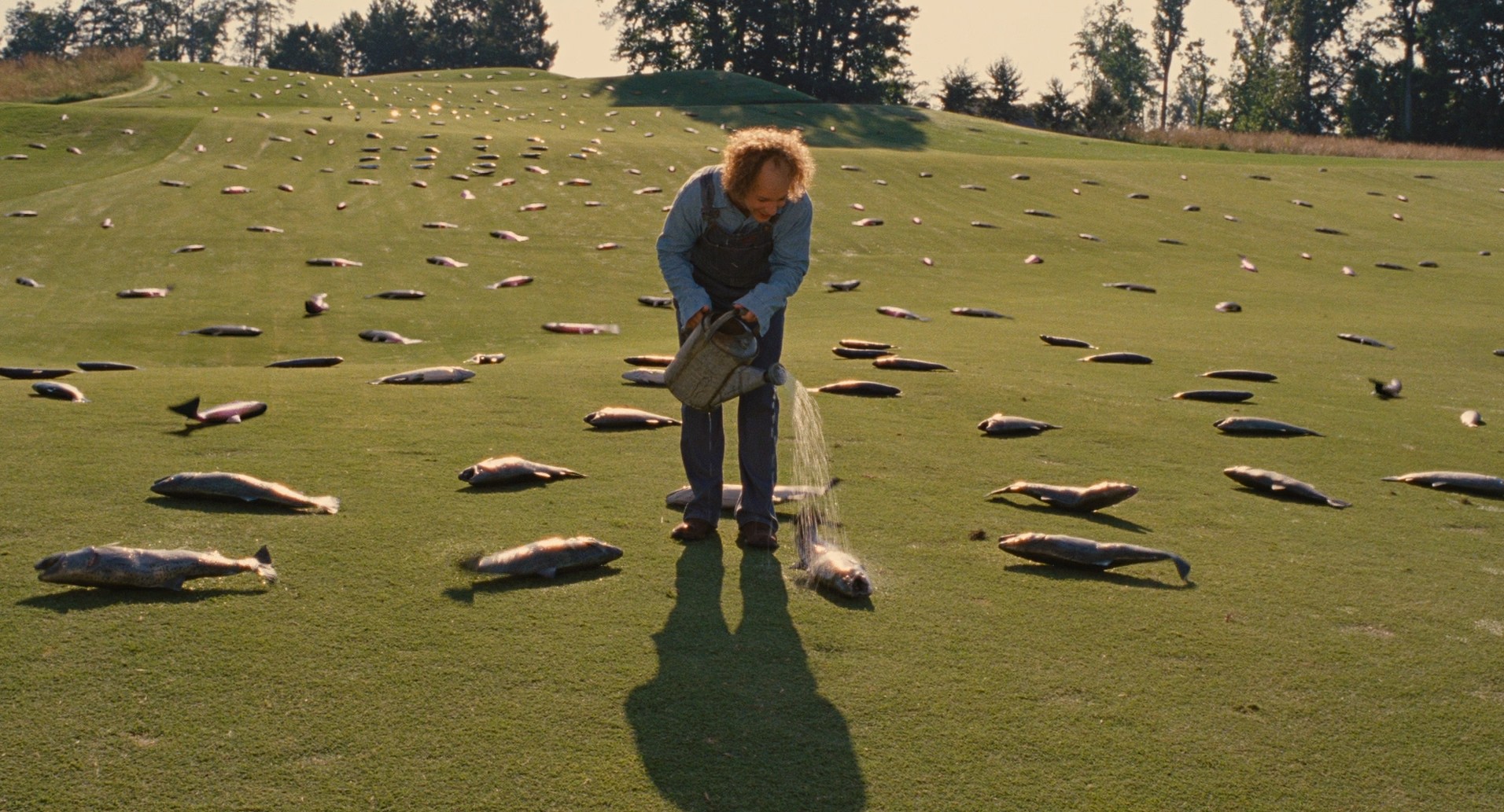 The Three Stooges (2012) —  shot,  lighting