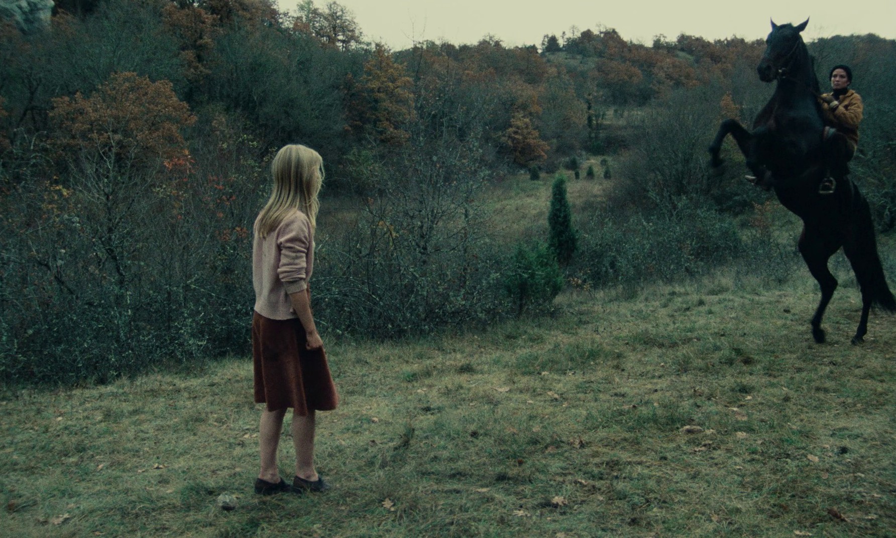 Black Moon (1975) —  shot,  lighting