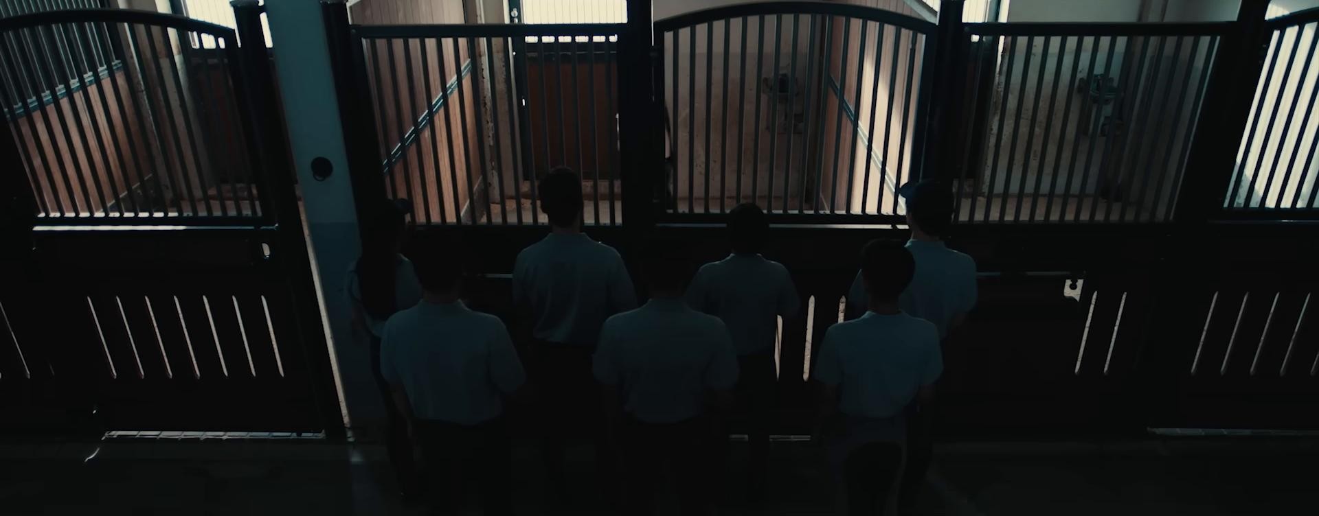 GOTTASADAE (2019) —  shot,  lighting