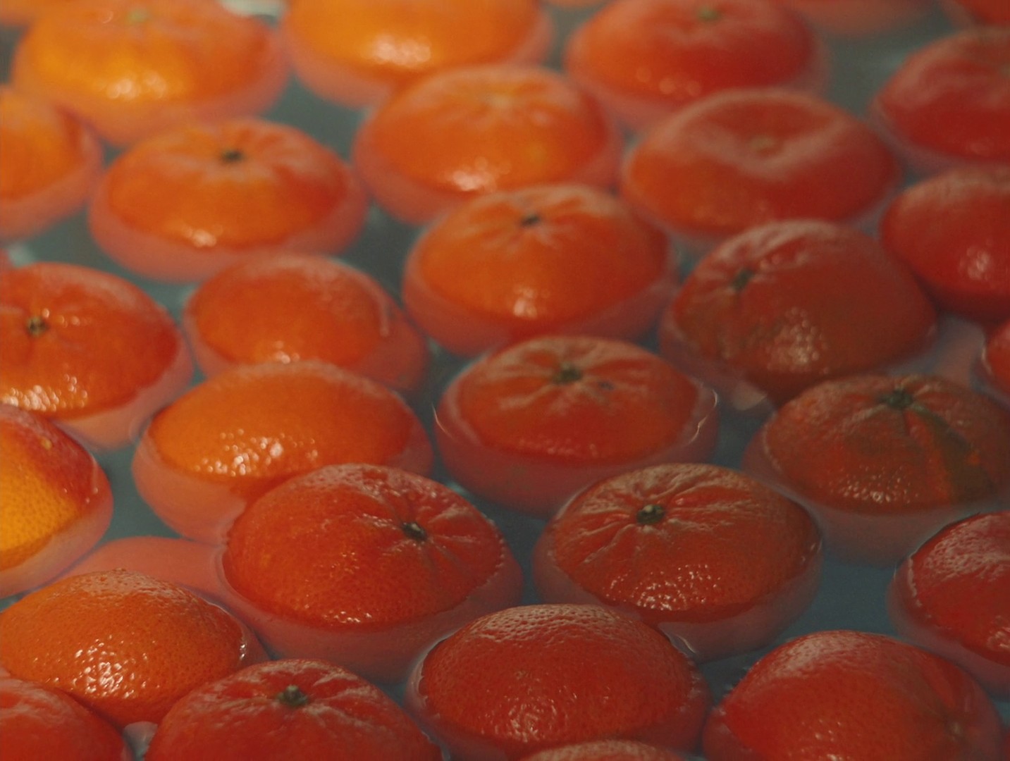 Crosswords (2020) —  shot,  lighting