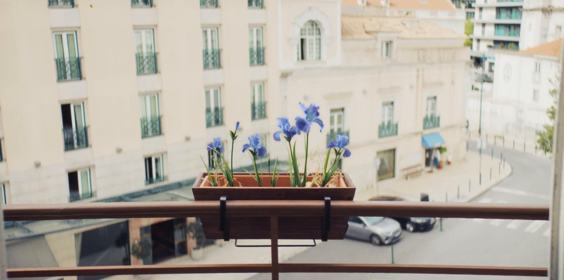 Banque Populaire "Les Fleurs" (2024) —  shot,  lighting