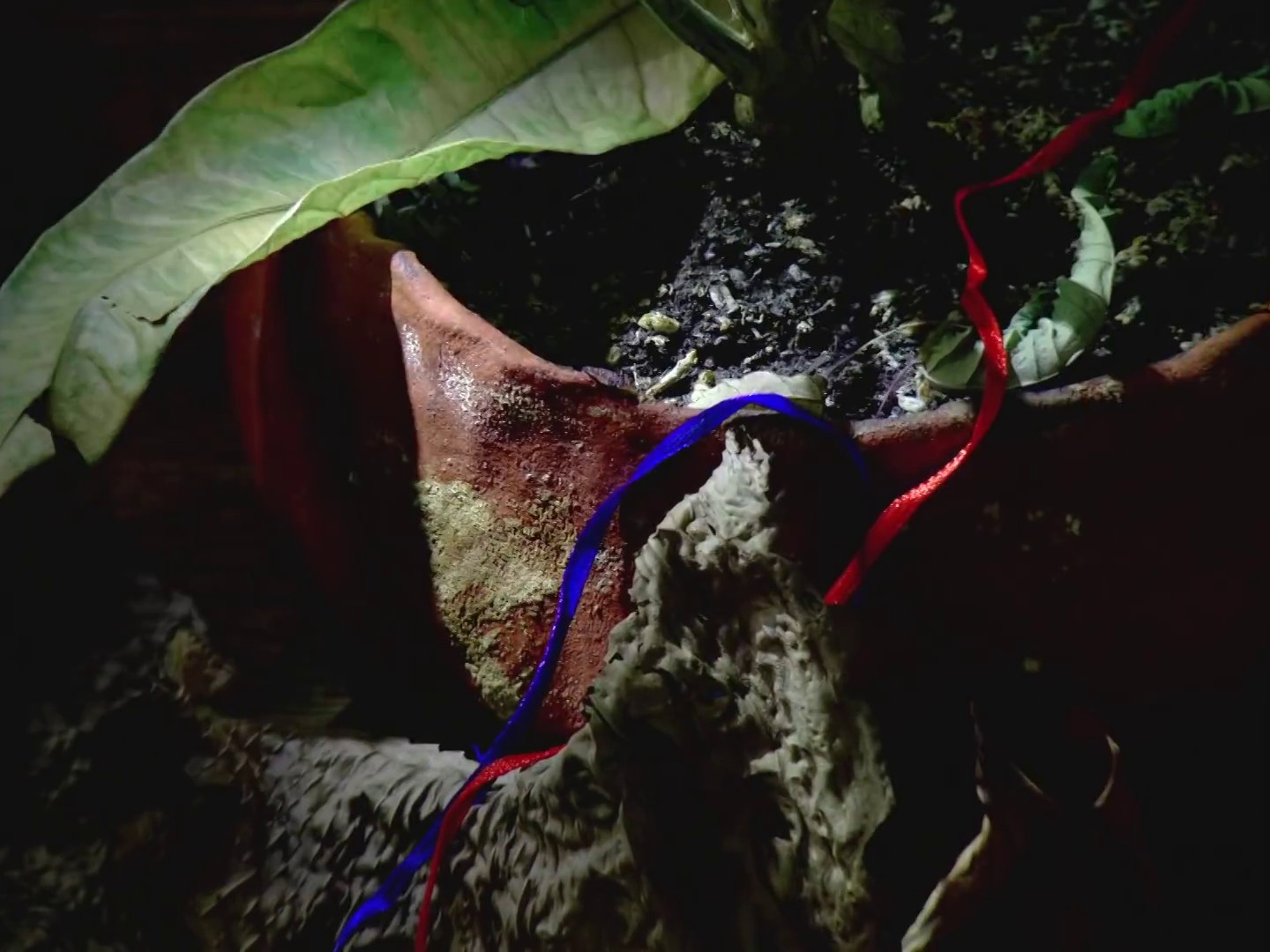 Castelmaure (2018) —  shot,  lighting