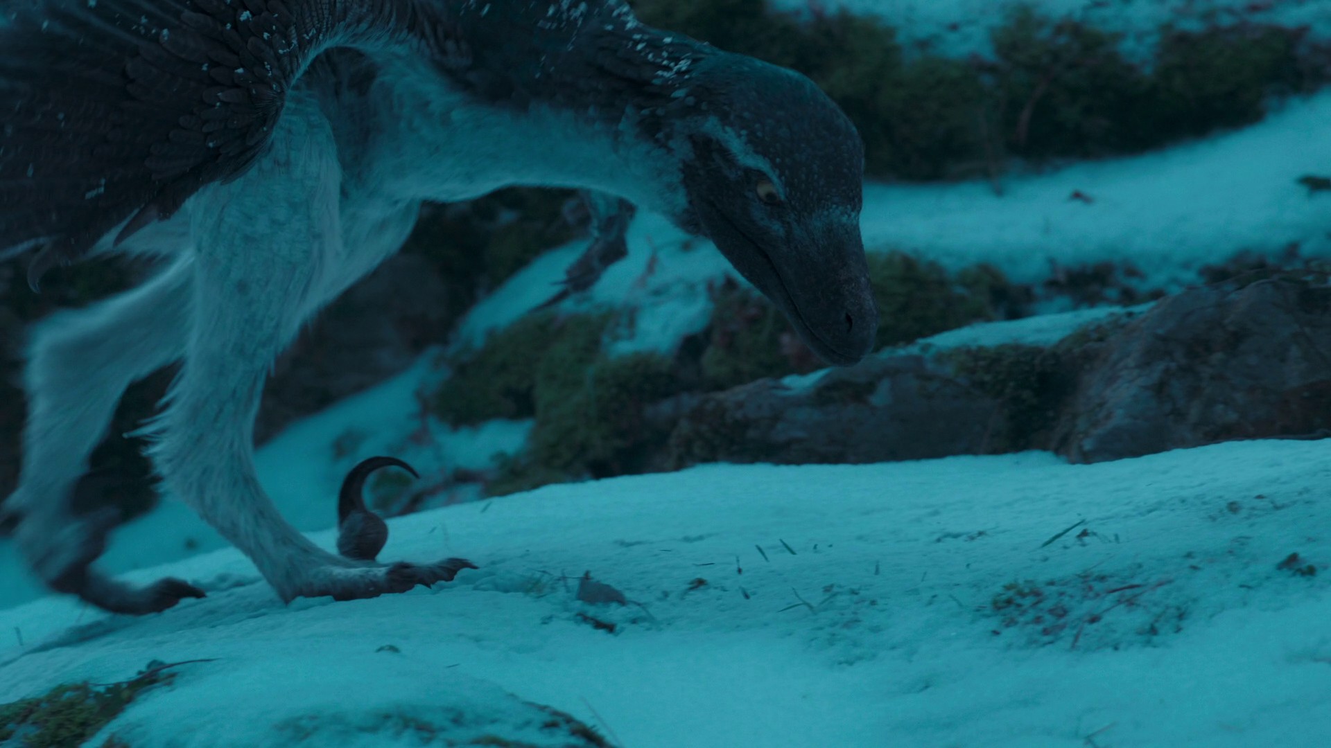 Ice Worlds (2022) —  shot,  lighting