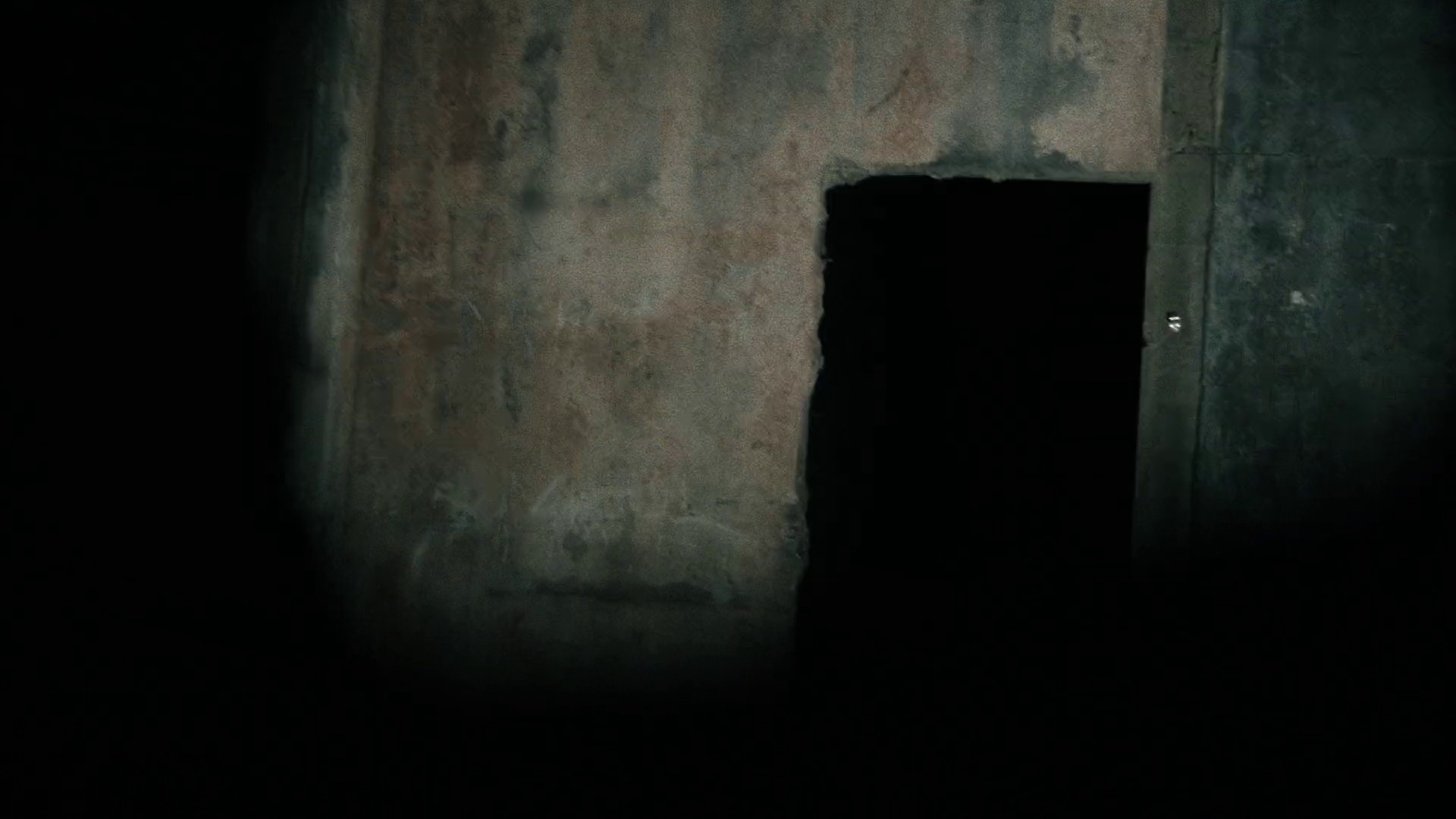 Dream never dies  (2021) —  shot,  lighting