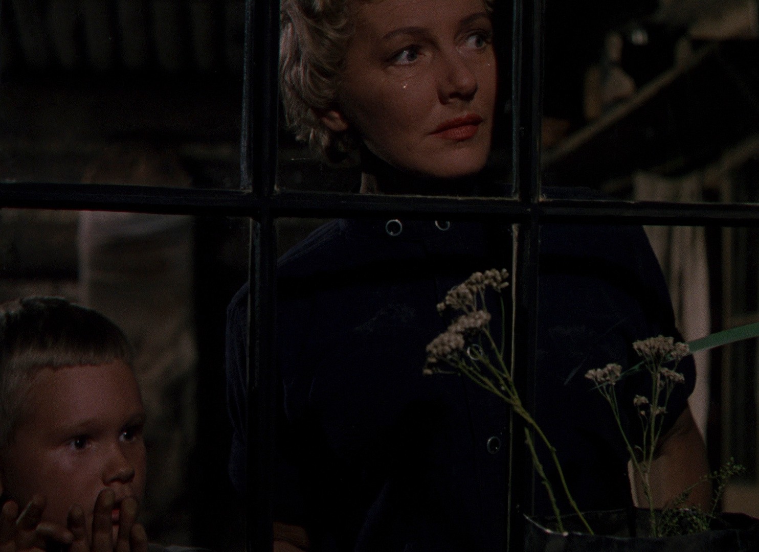 Shane (1953) —  shot,  lighting