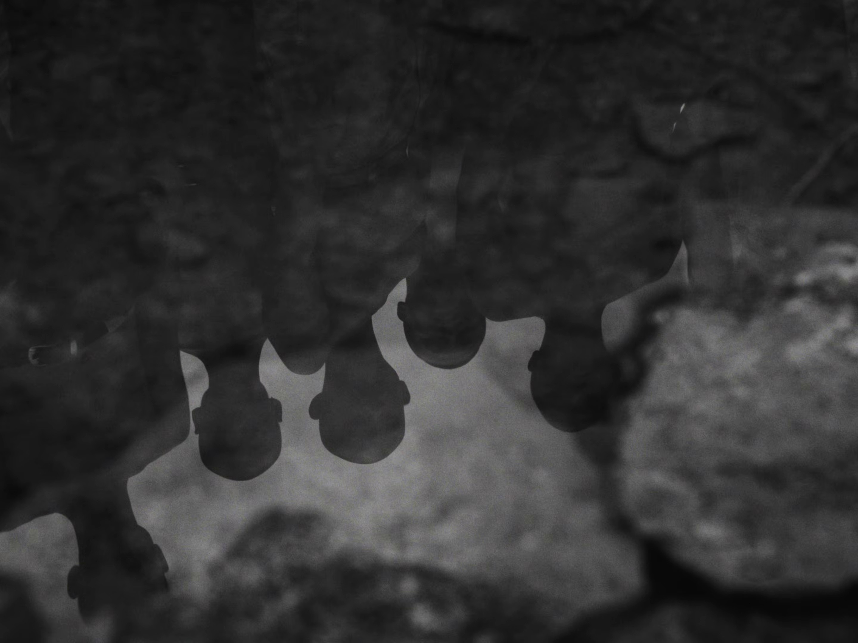 Golden Horizon (2026) —  shot,  lighting