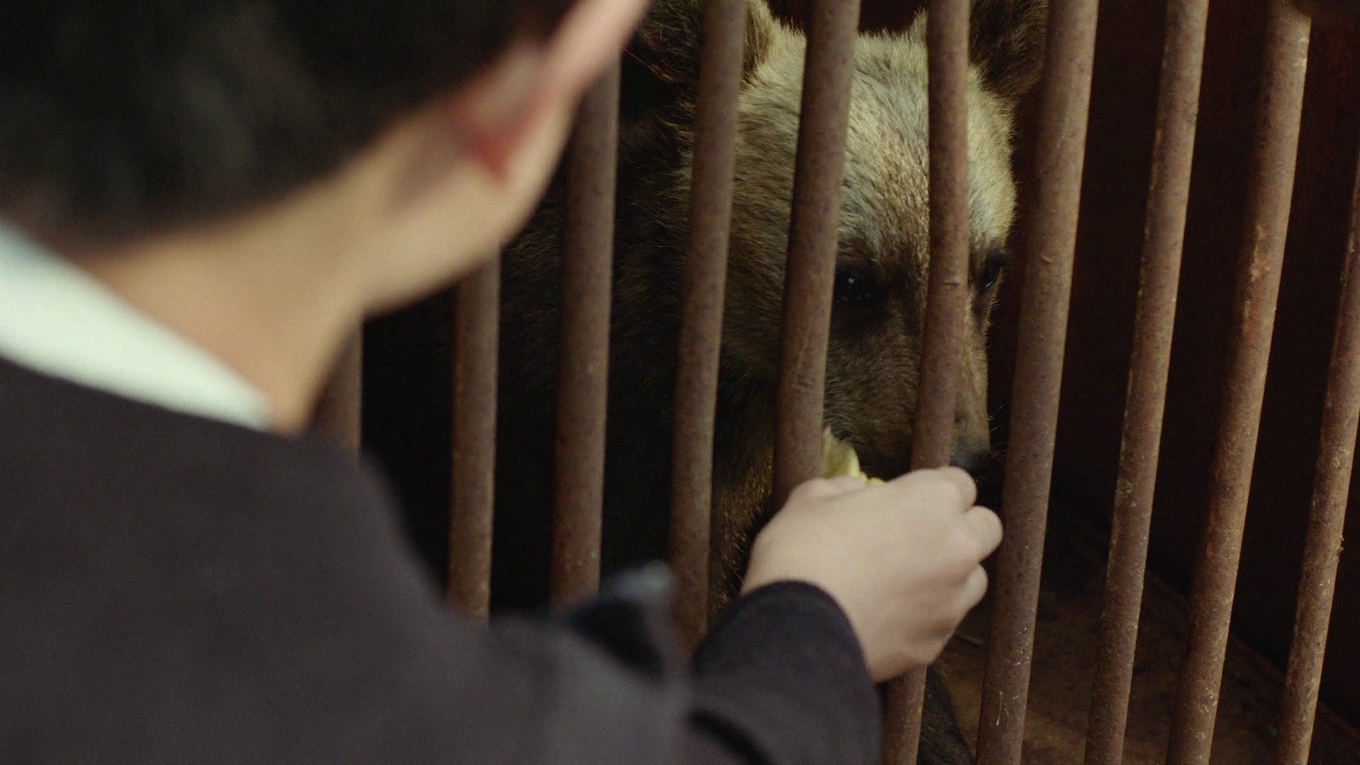 Ainu Mosir (2020) —  shot,  lighting