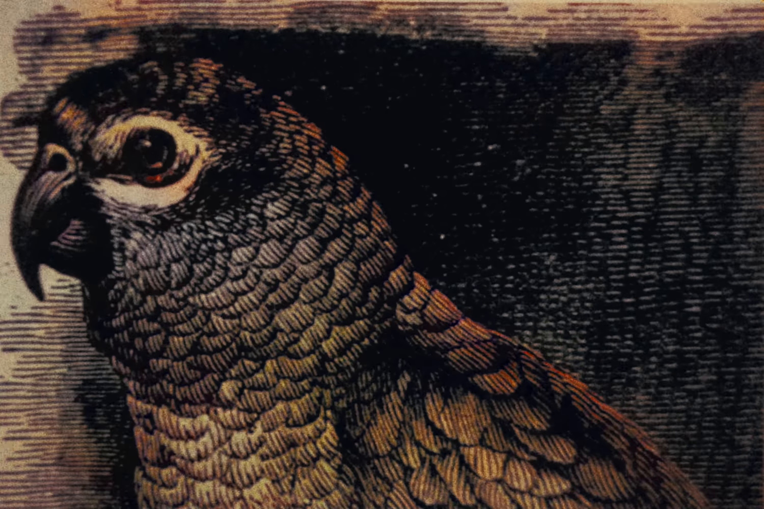 dope (2025) —  shot,  lighting