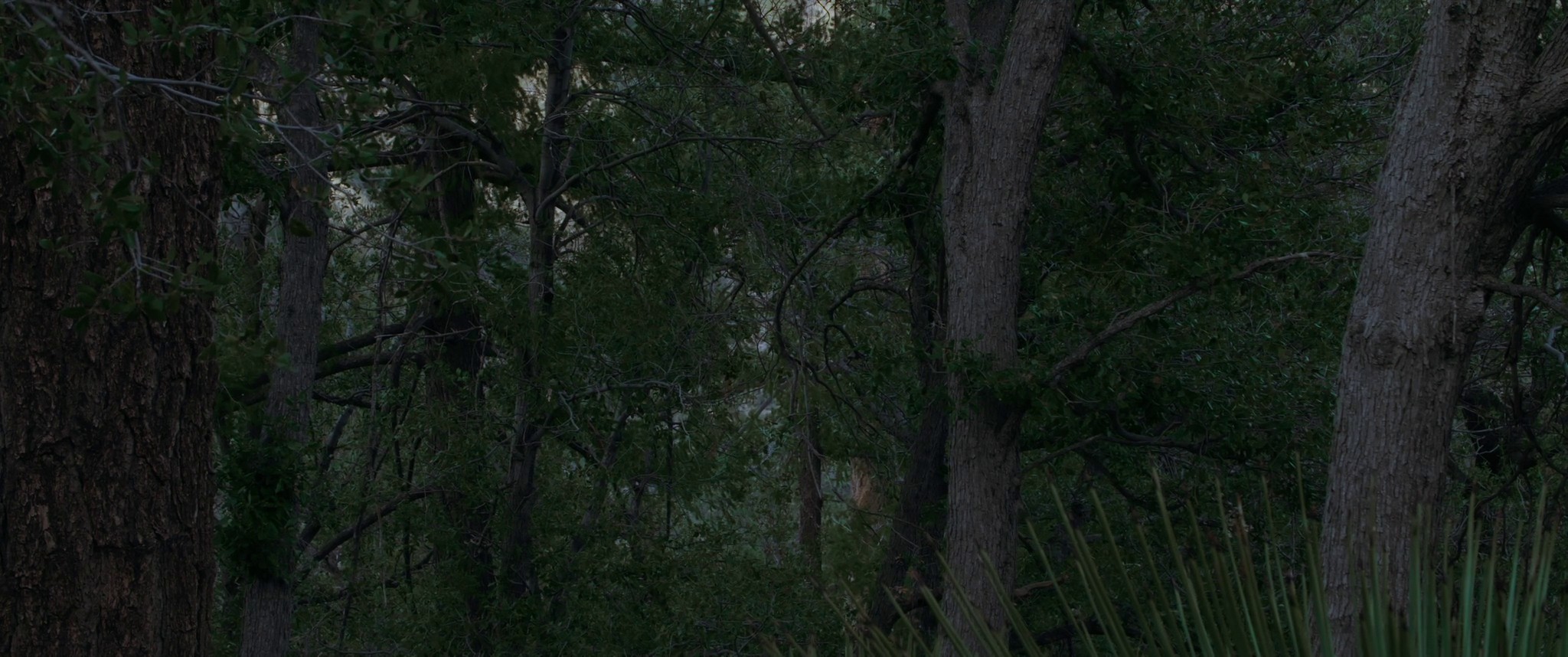 2am (2019) —  shot,  lighting