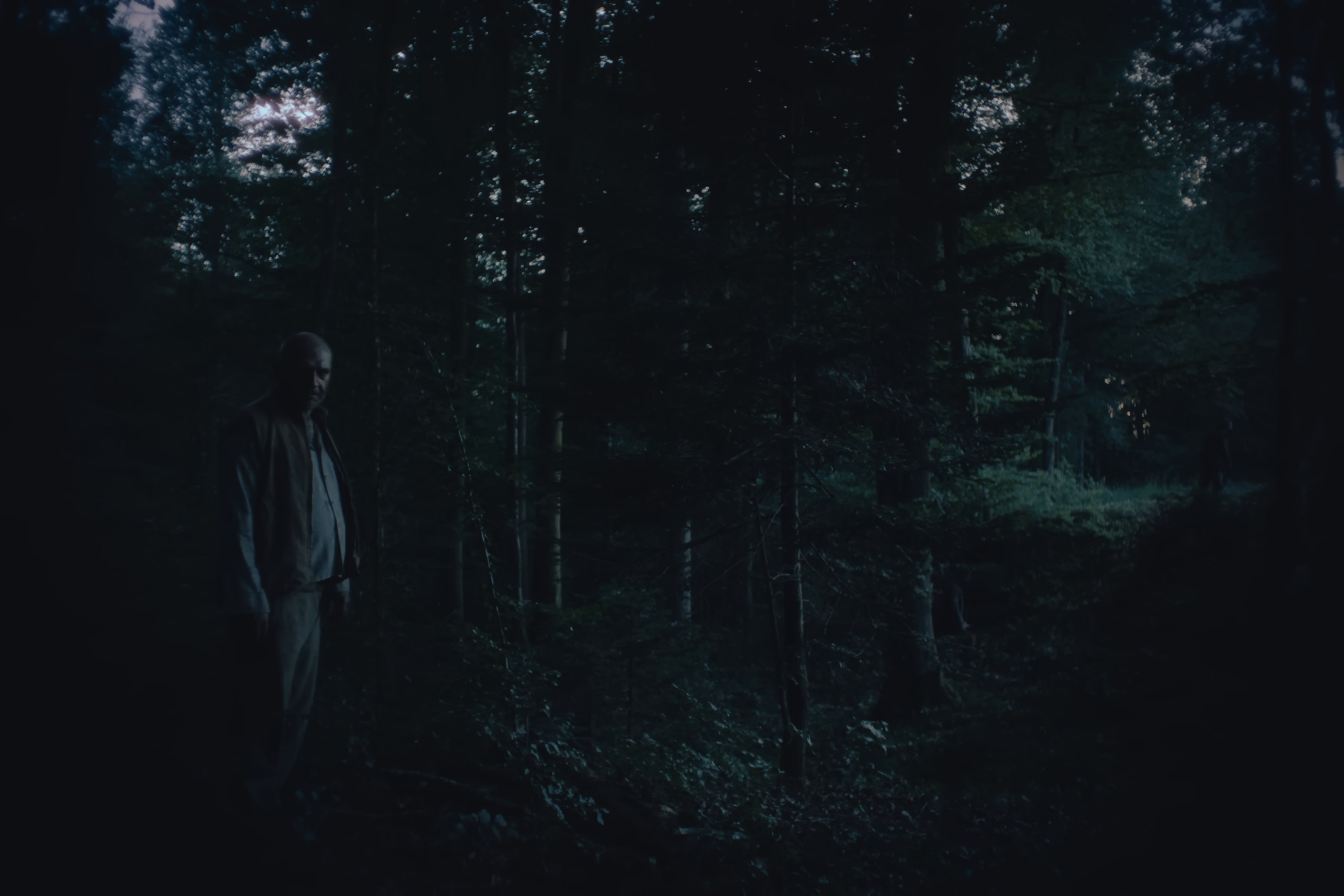 Specter  (2025) —  shot,  lighting