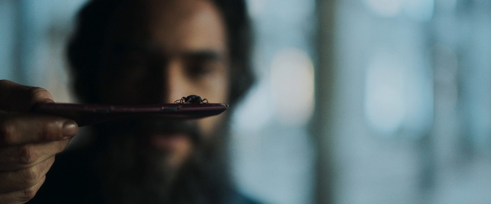 Grande Sertão (2024) —  shot,  lighting