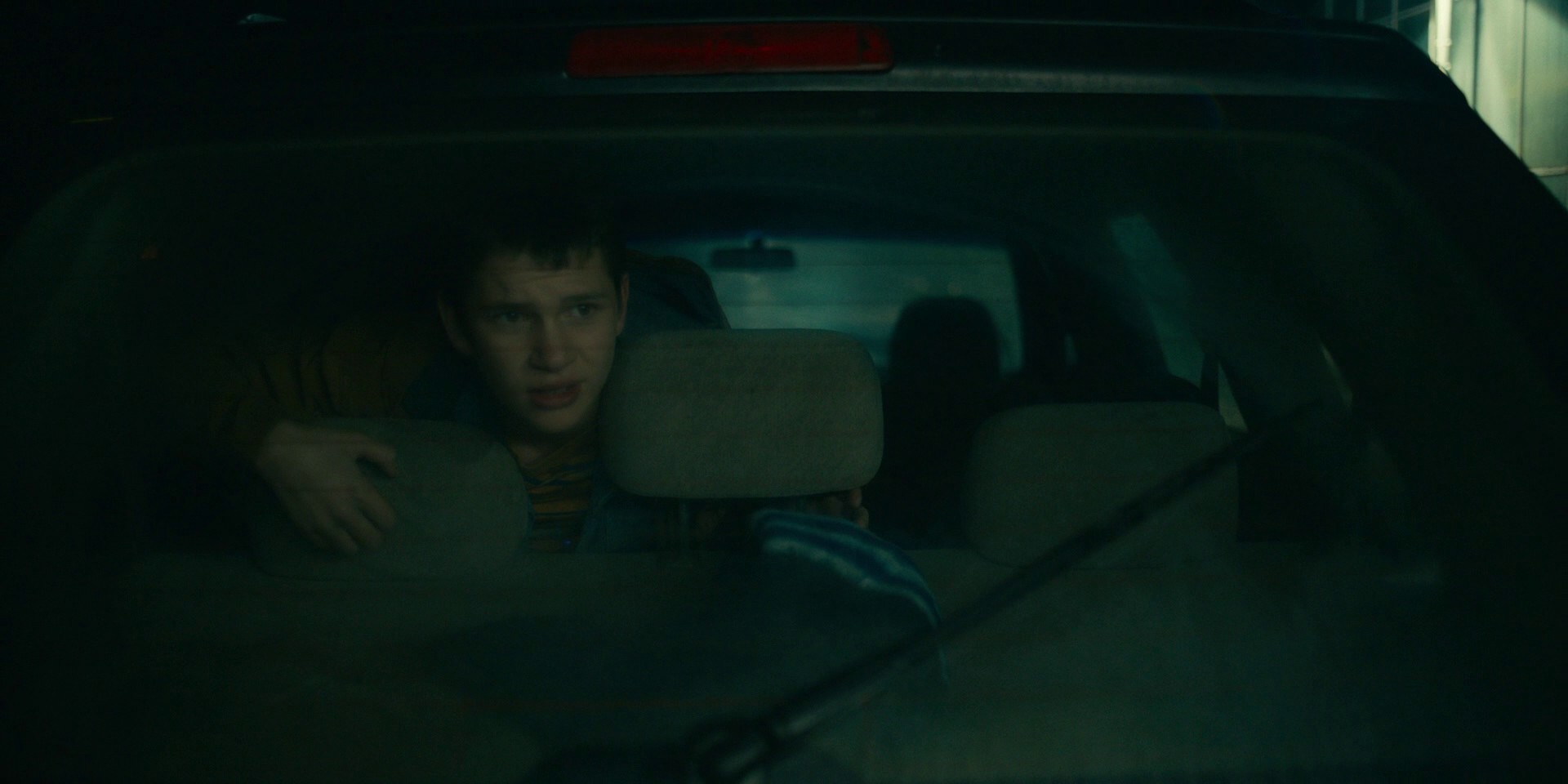 Foxes and Coyotes (2021) —  shot,  lighting