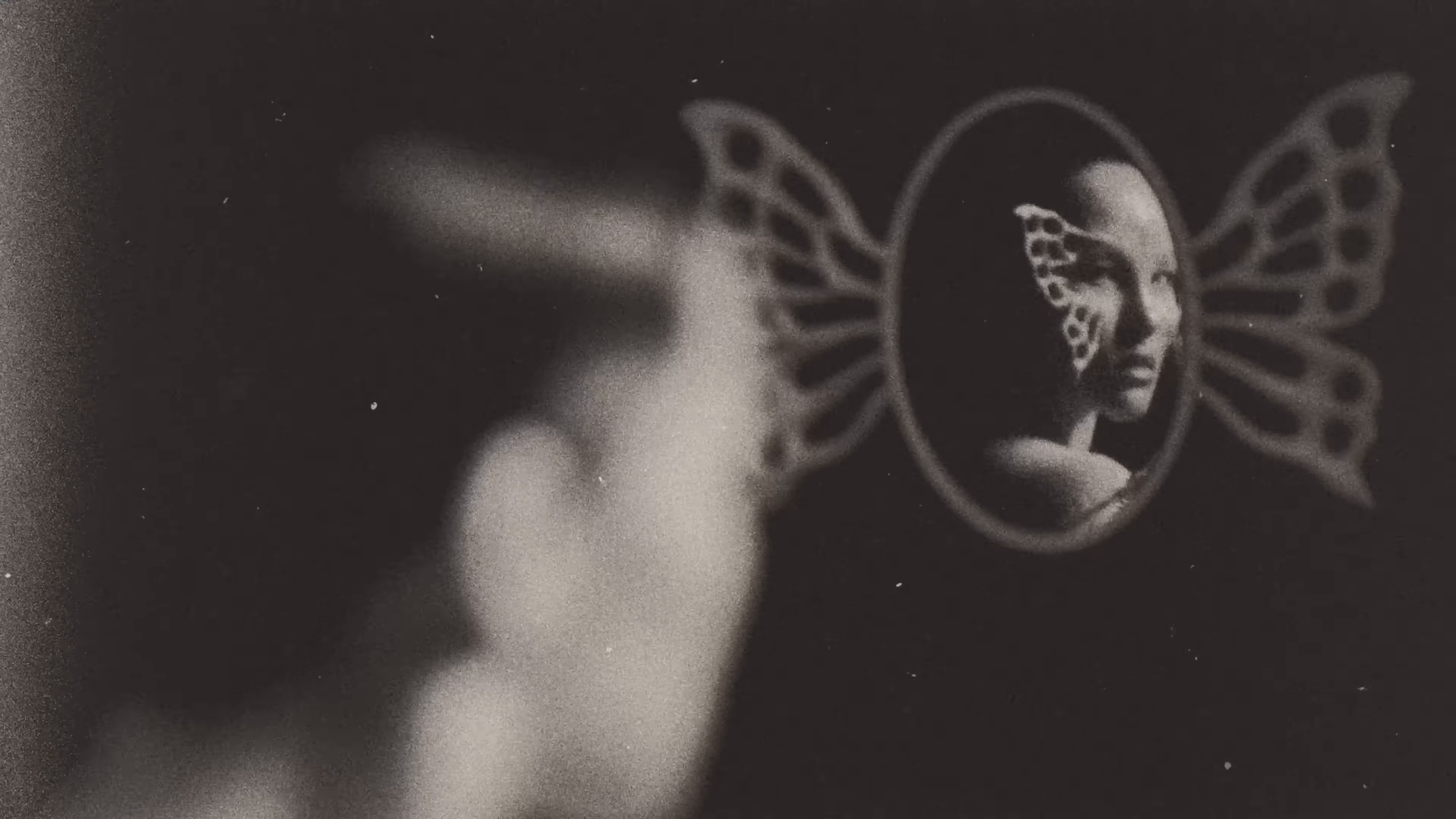 Cold Chords (2025) —  shot,  lighting