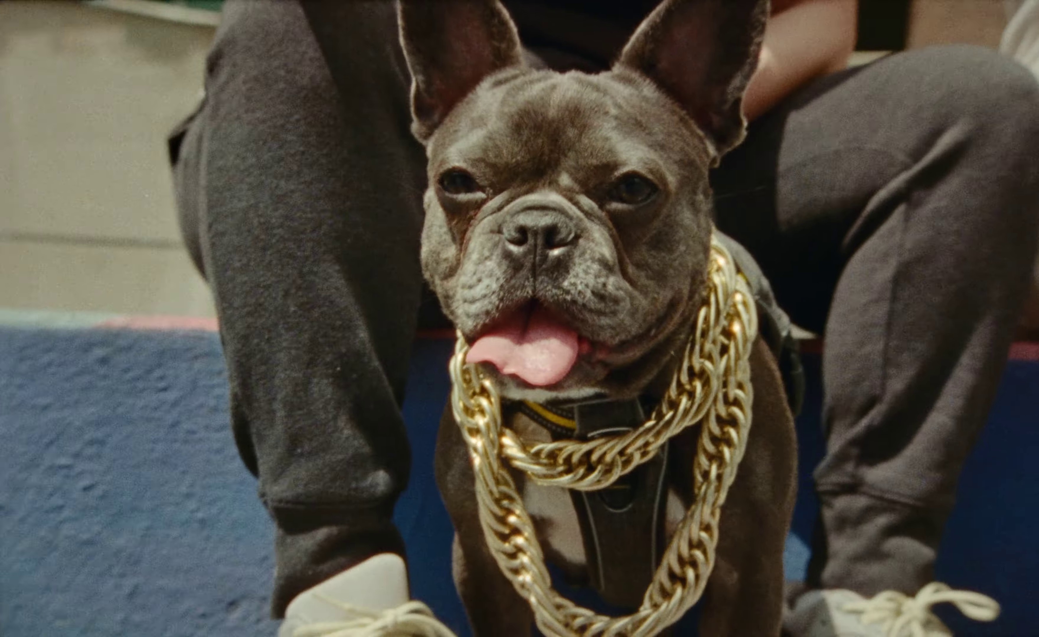 Oopsie (2023) —  shot,  lighting