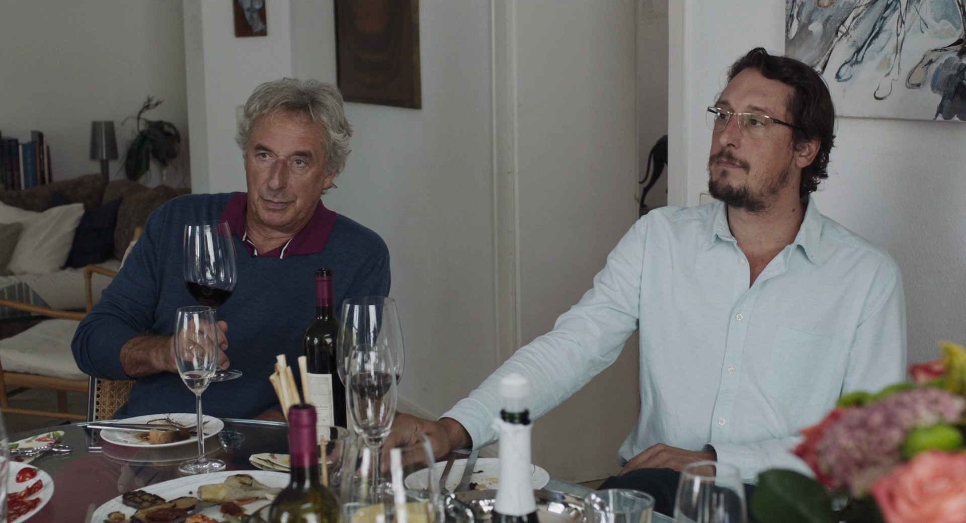 Toni Erdmann (2016) —  shot,  lighting