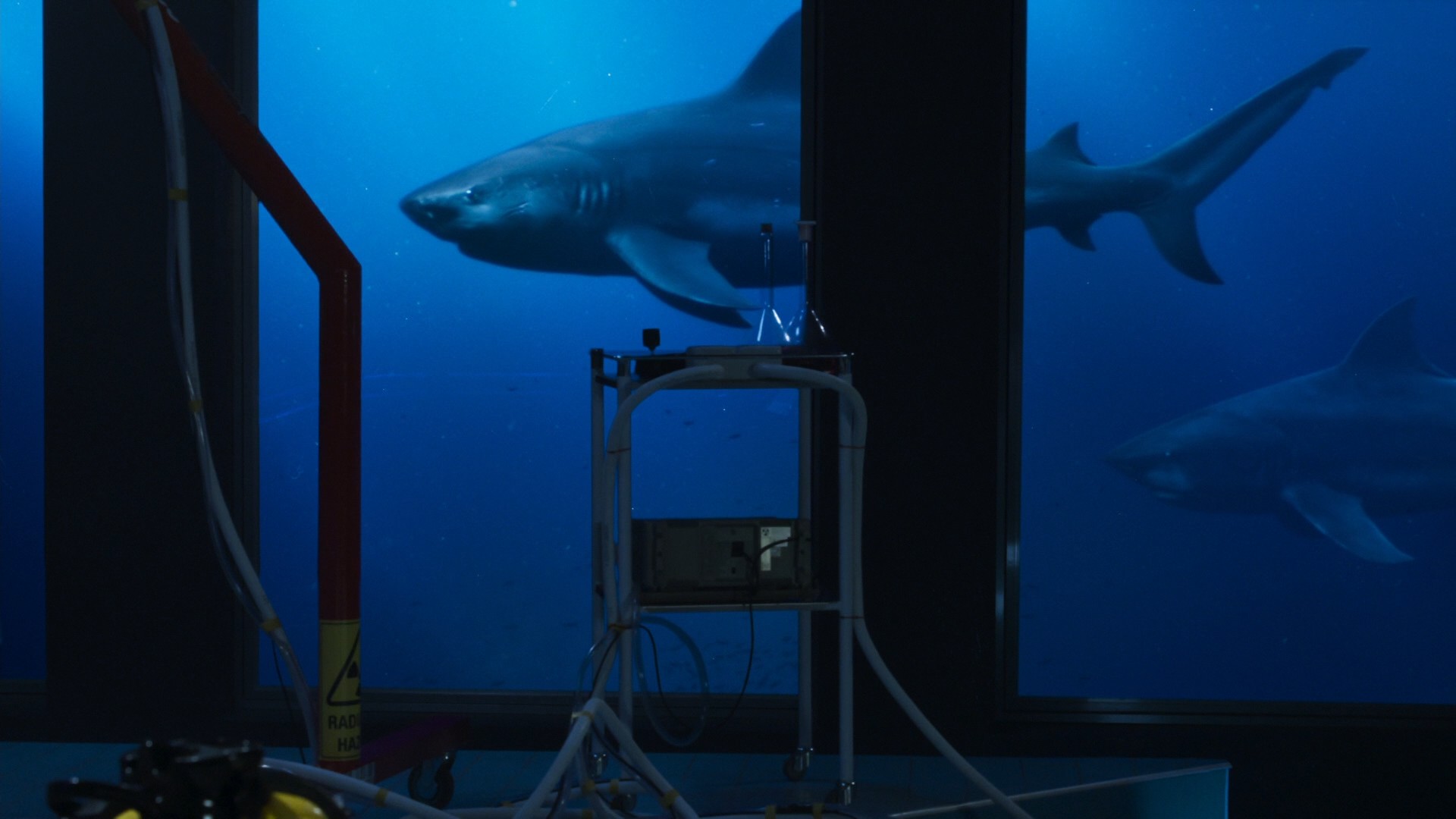 Deep Blue Sea 2 (2018) —  shot,  lighting