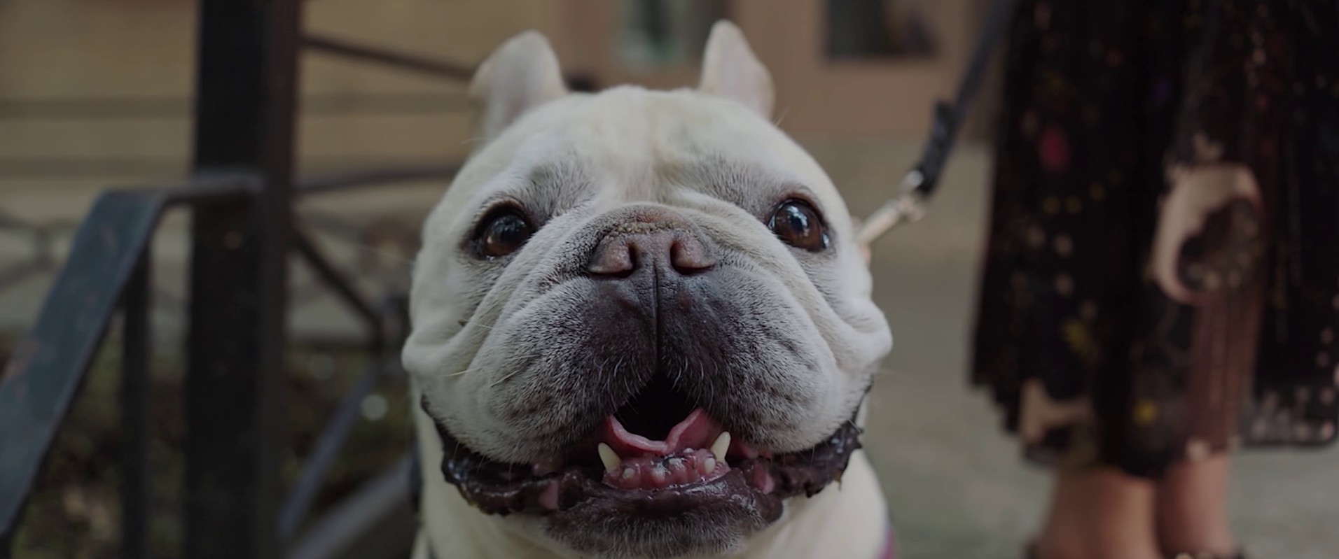 Free Dance (2018) —  shot,  lighting