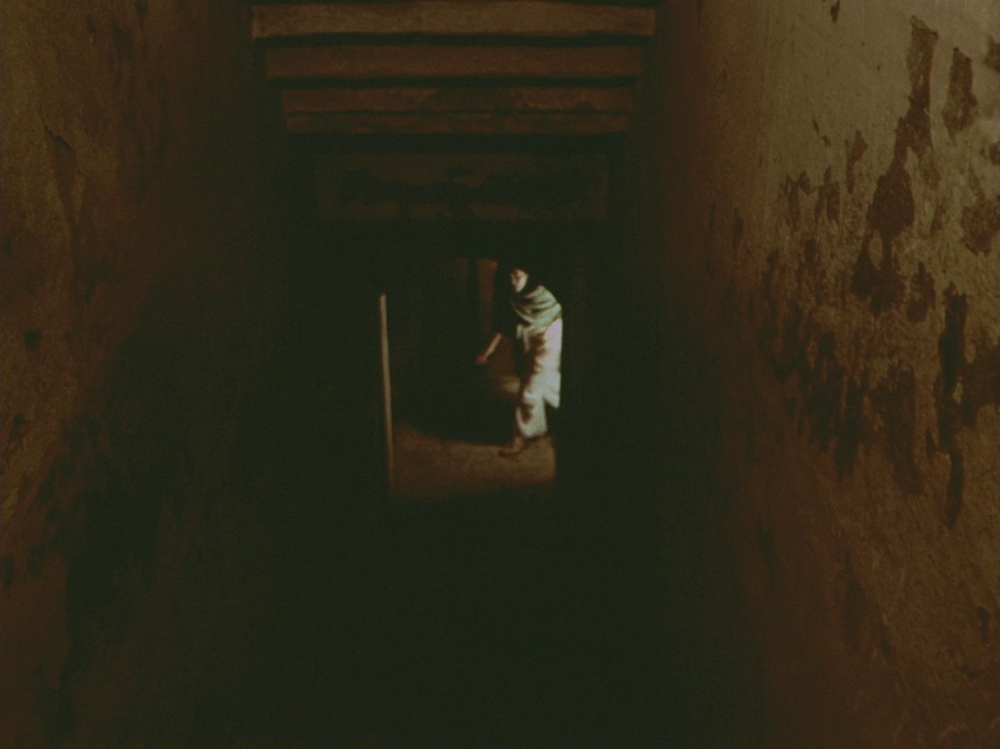 Joi Baba Felunath: The Elephant God (1979) —  shot,  lighting