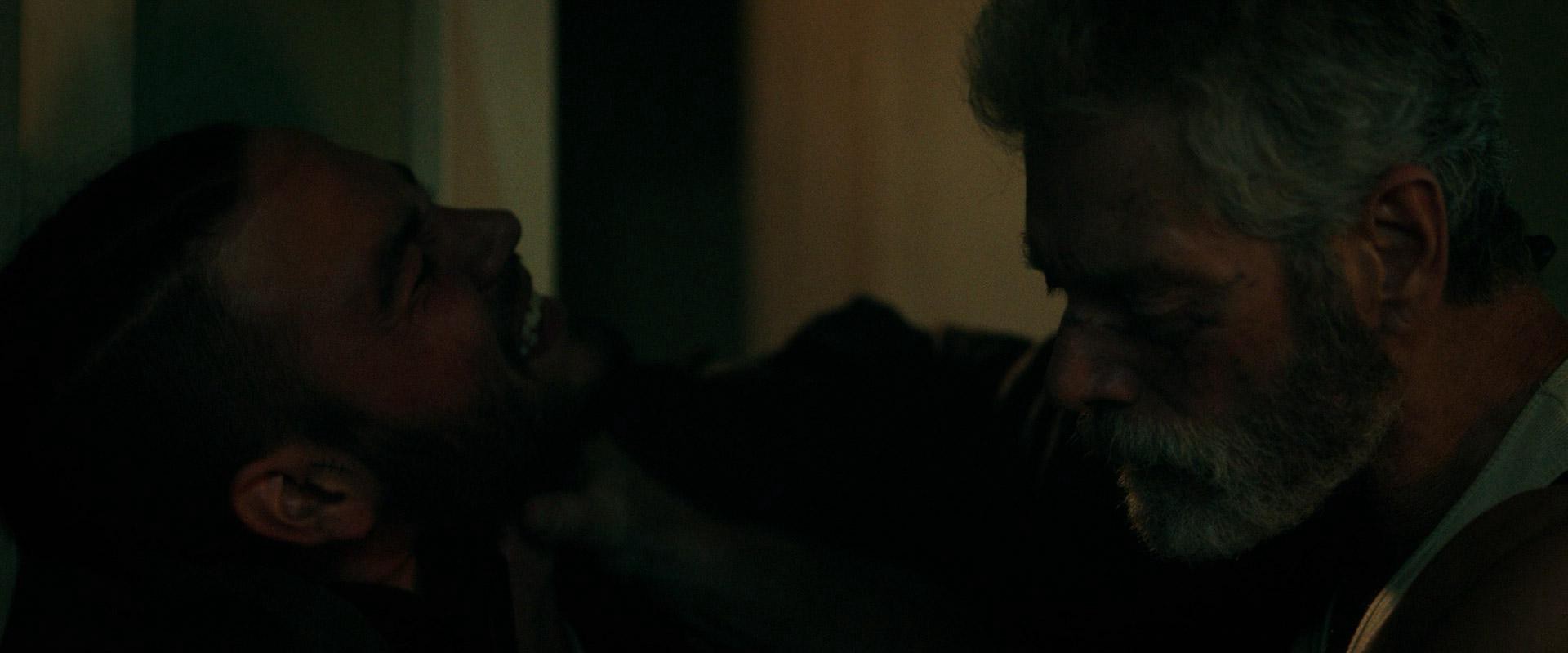 Don't Breathe (2016) —  shot,  lighting