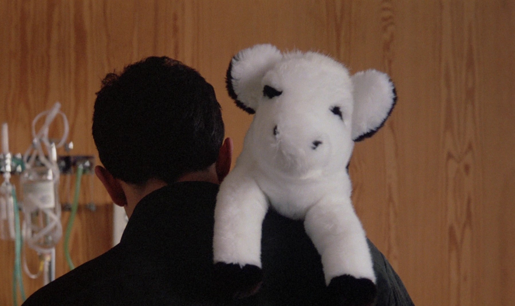 Le faucon (1983) —  shot,  lighting