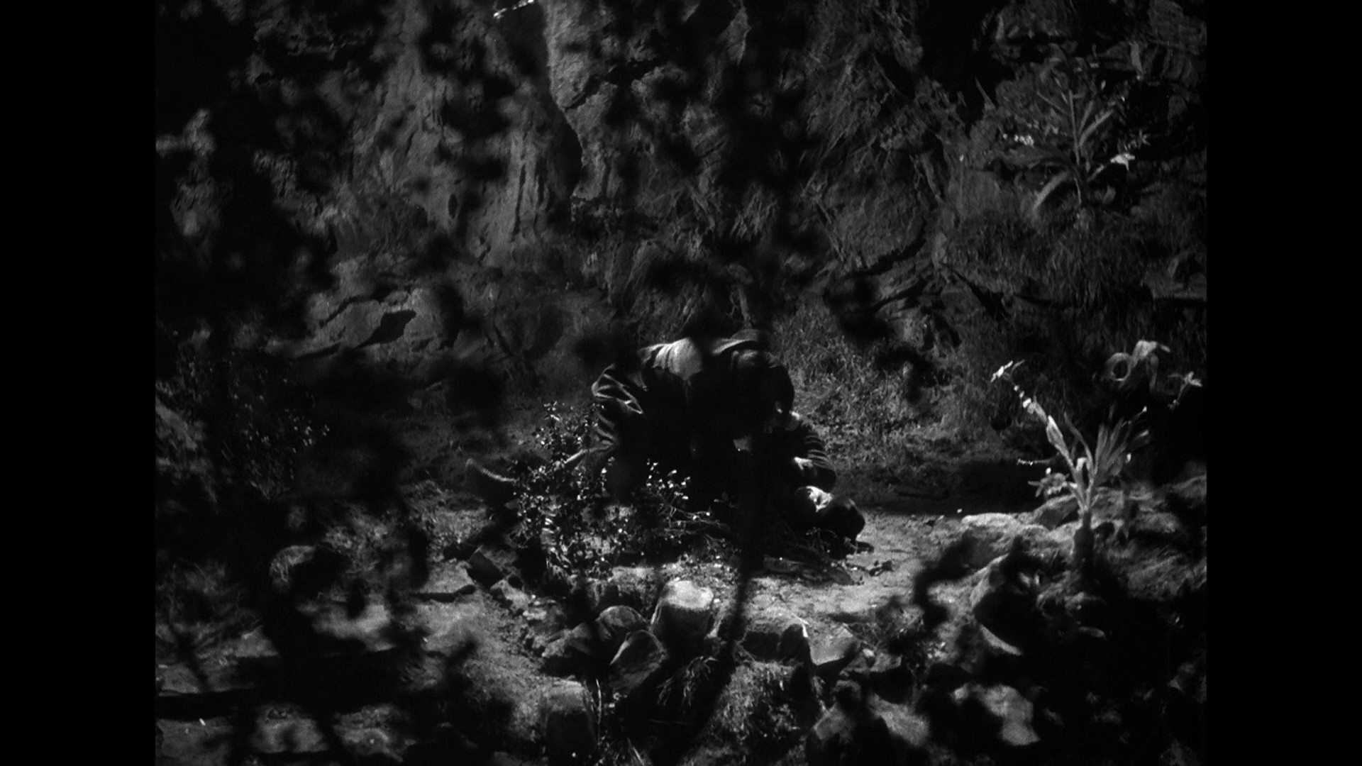 Werewolf of London (1935) —  shot,  lighting