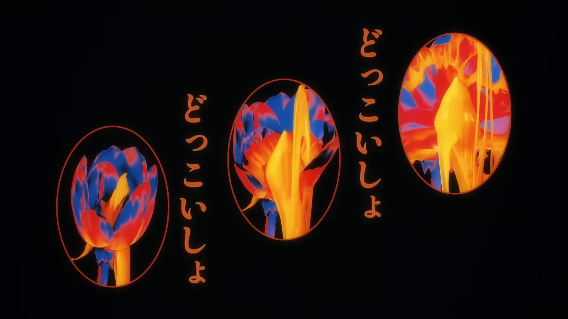 Sakura Gansha (2025) —  shot,  lighting