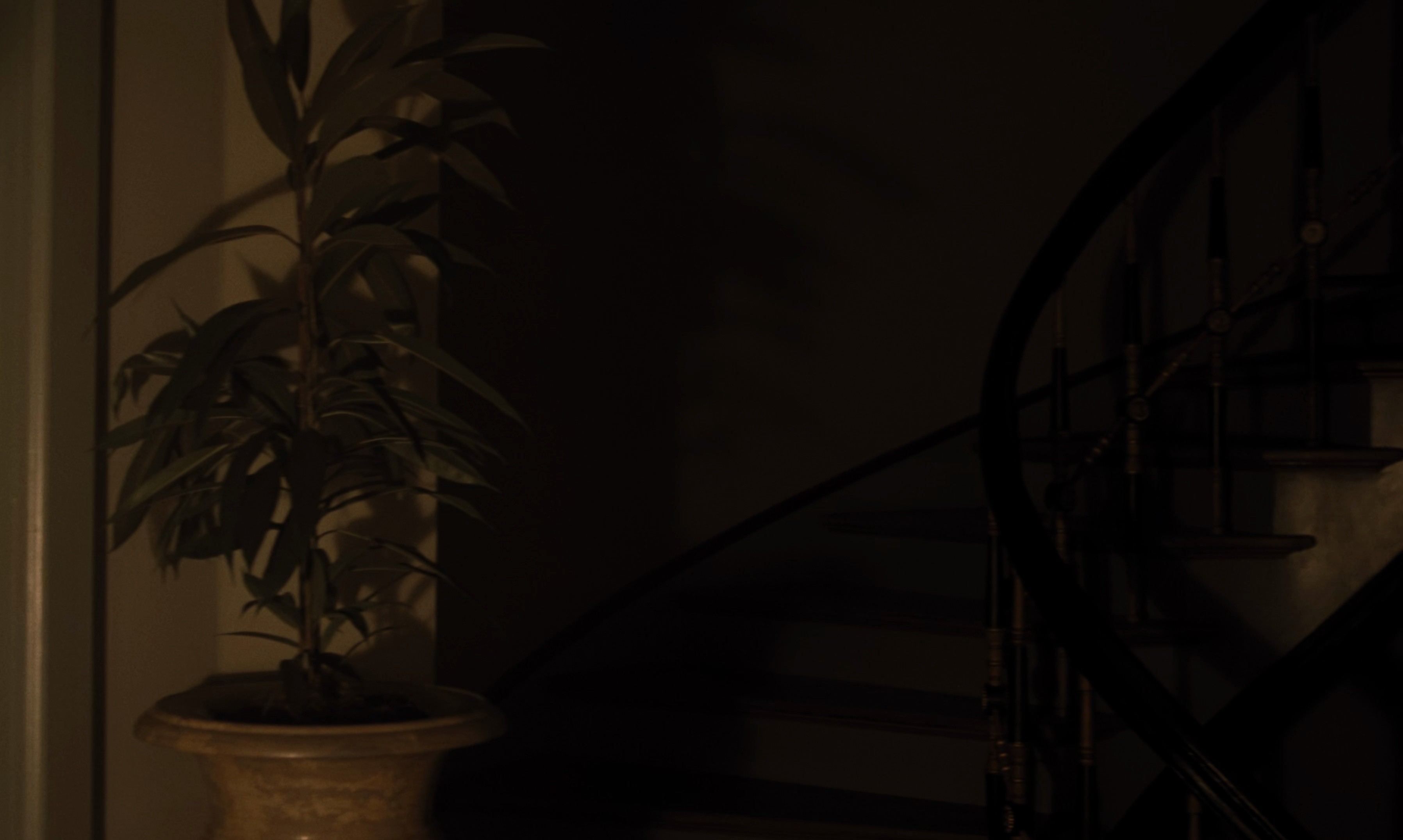 Nosferatu (2025) —  shot,  lighting