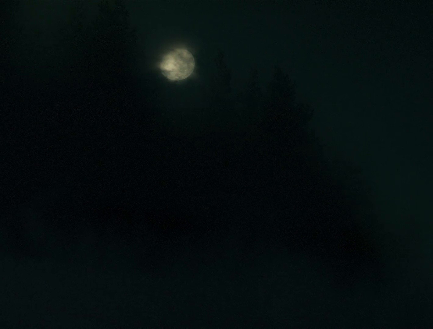 Sleep Has Her House (2017) —  shot,  lighting