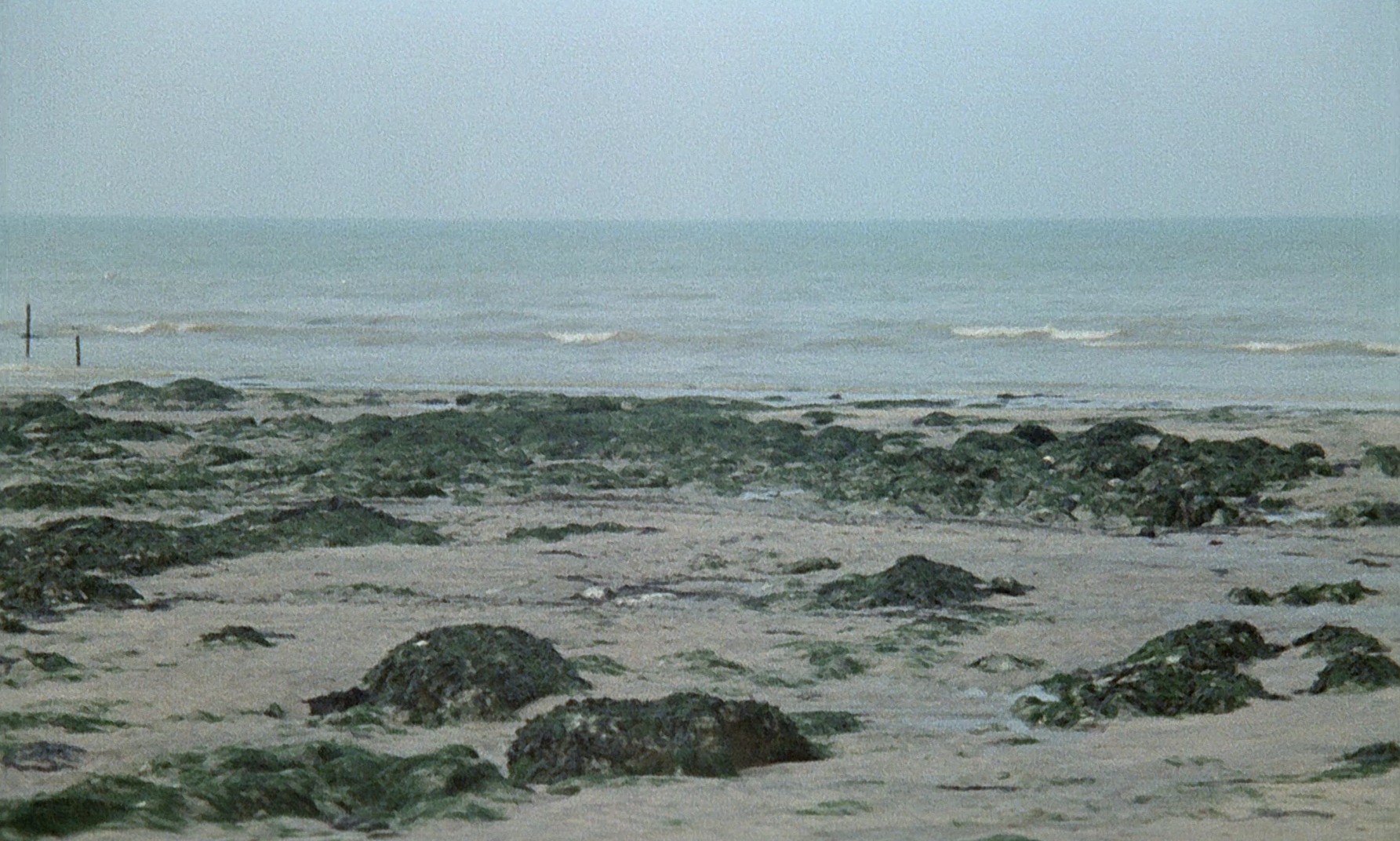 Salut l'artiste (1973) —  shot,  lighting