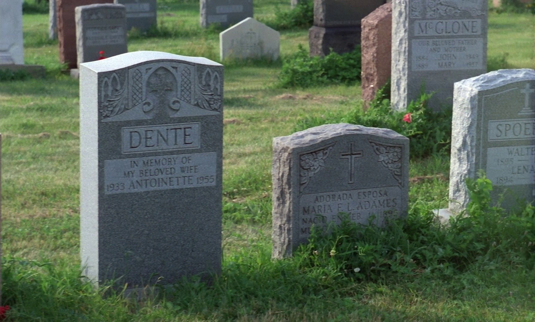 The Illegal Immigrant (1985) —  shot,  lighting