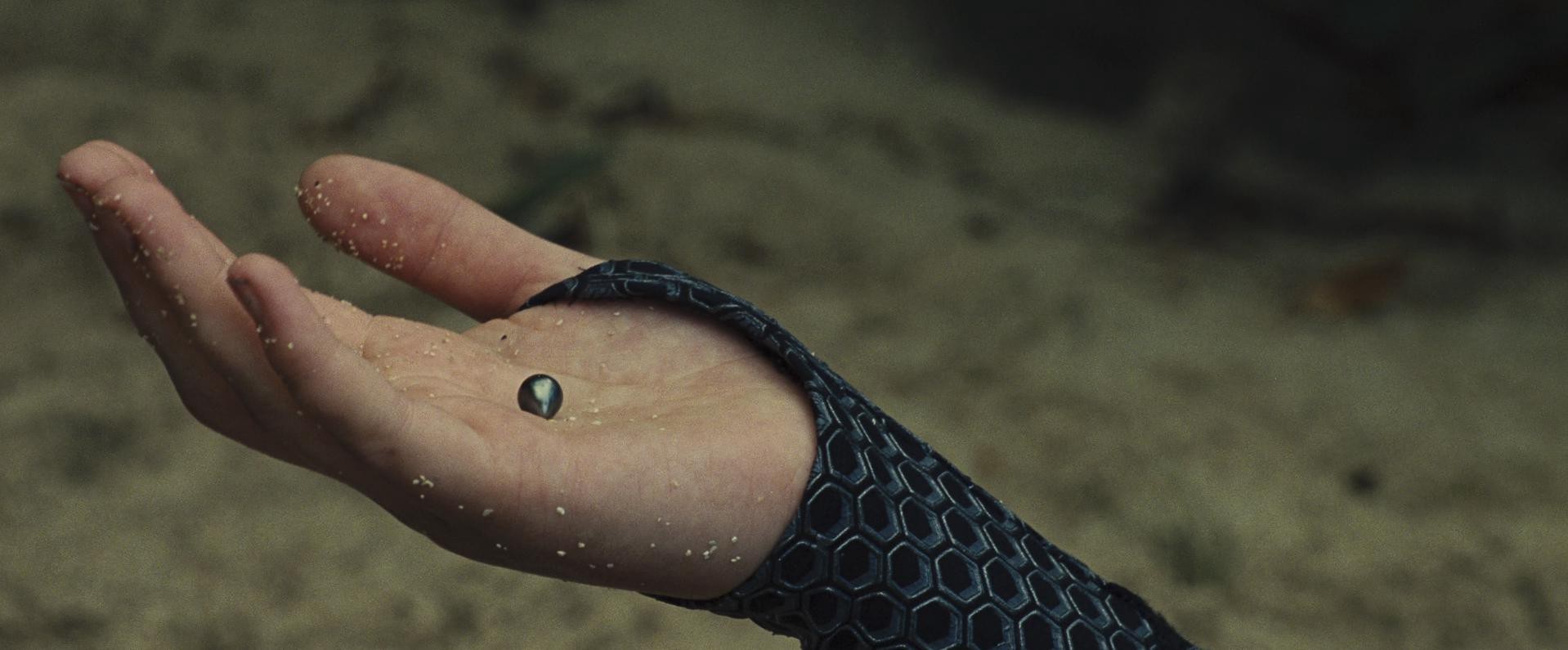 The Hunger Games: Catching Fire (2013) —  shot,  lighting