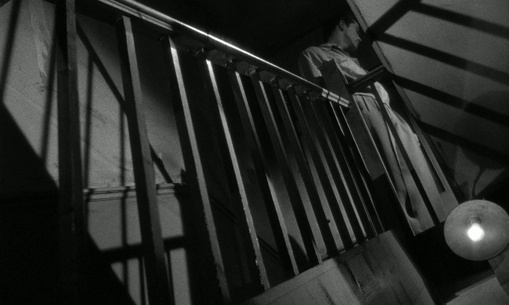 Spin a Dark Web (1956) —  shot,  lighting