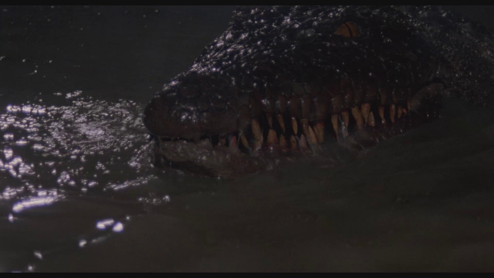Killer Crocodile 2 (1991) —  shot,  lighting