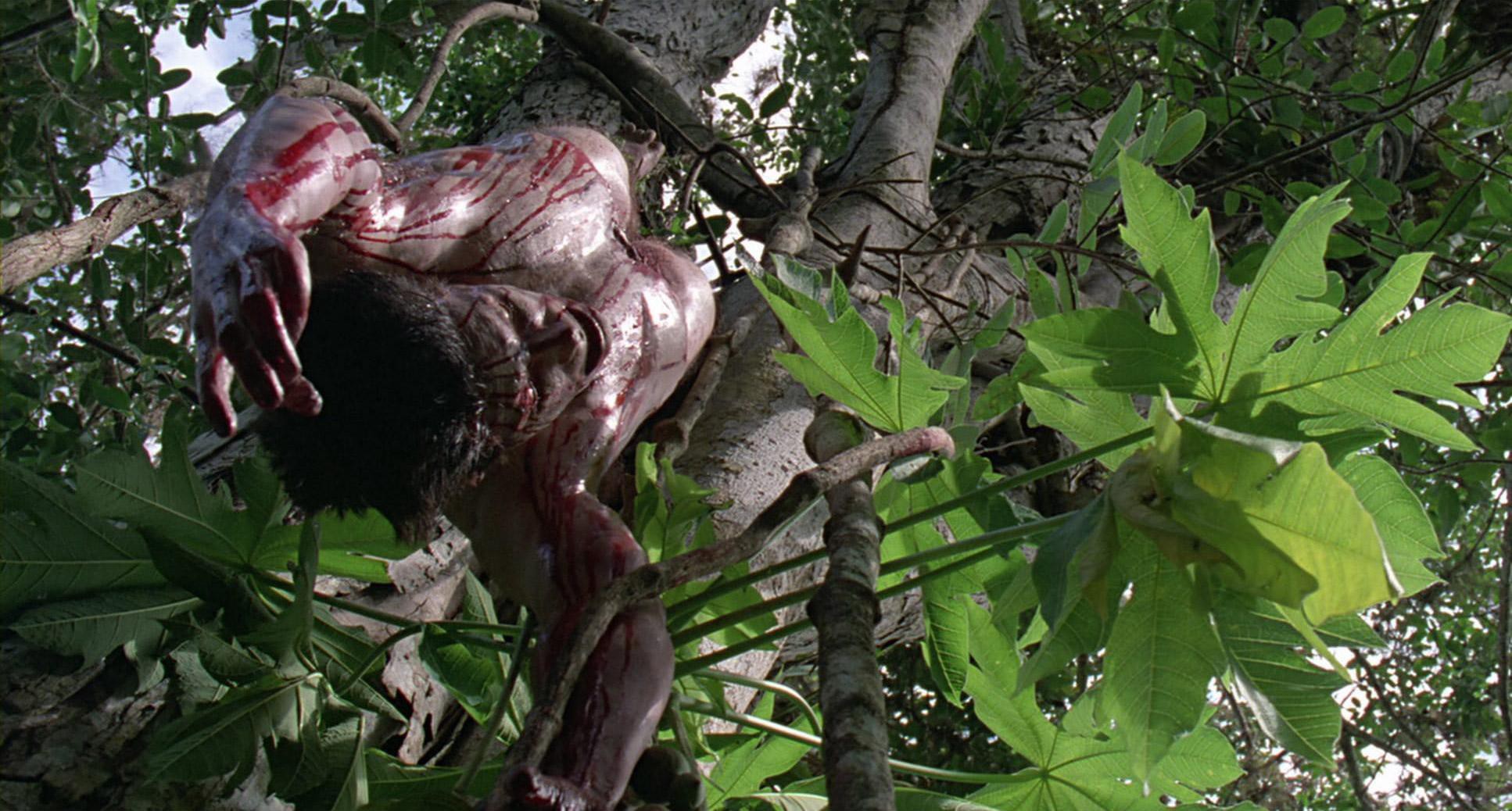 Predator (1987) —  shot,  lighting