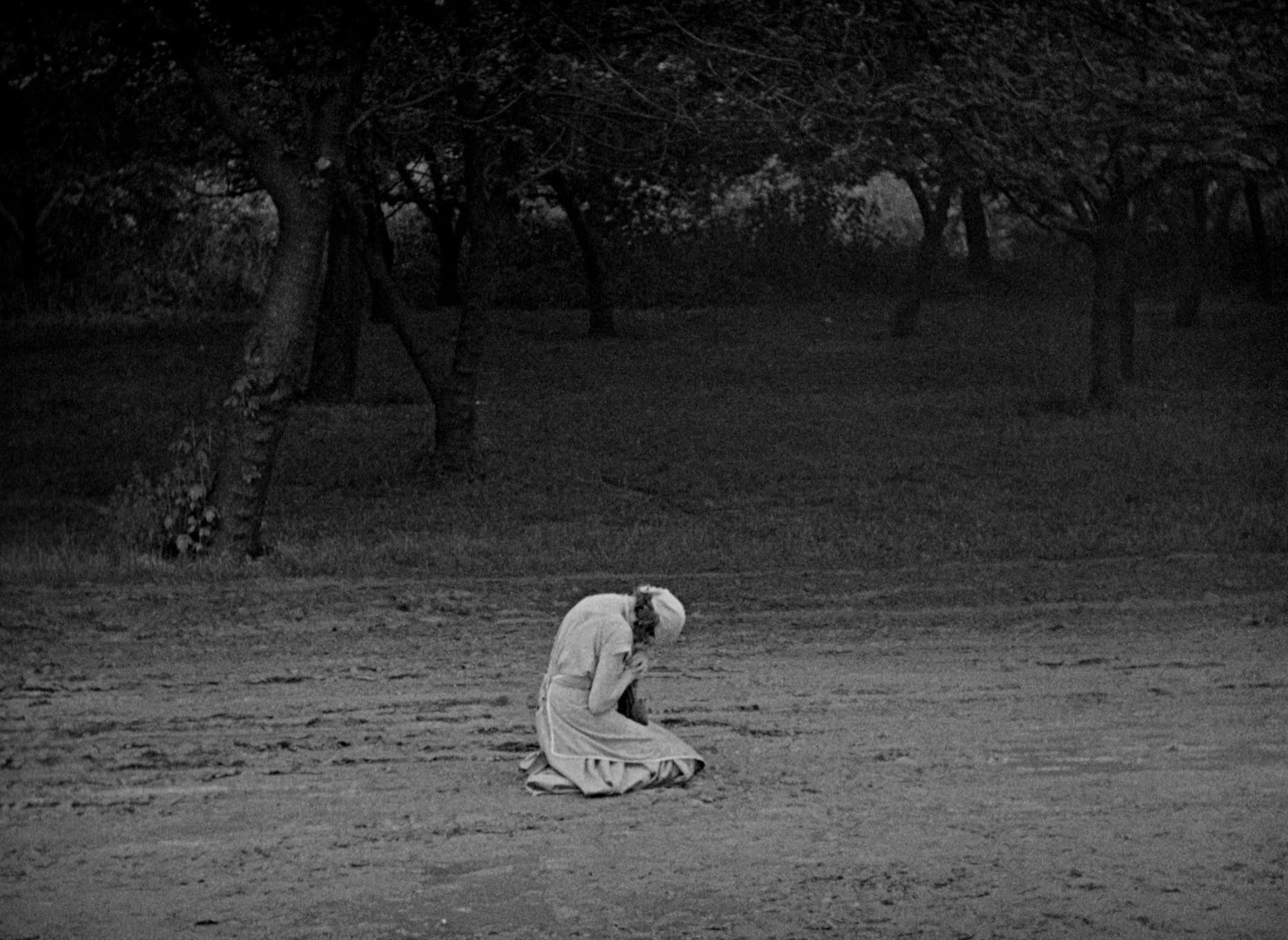 The Big Parade (1925) —  shot,  lighting