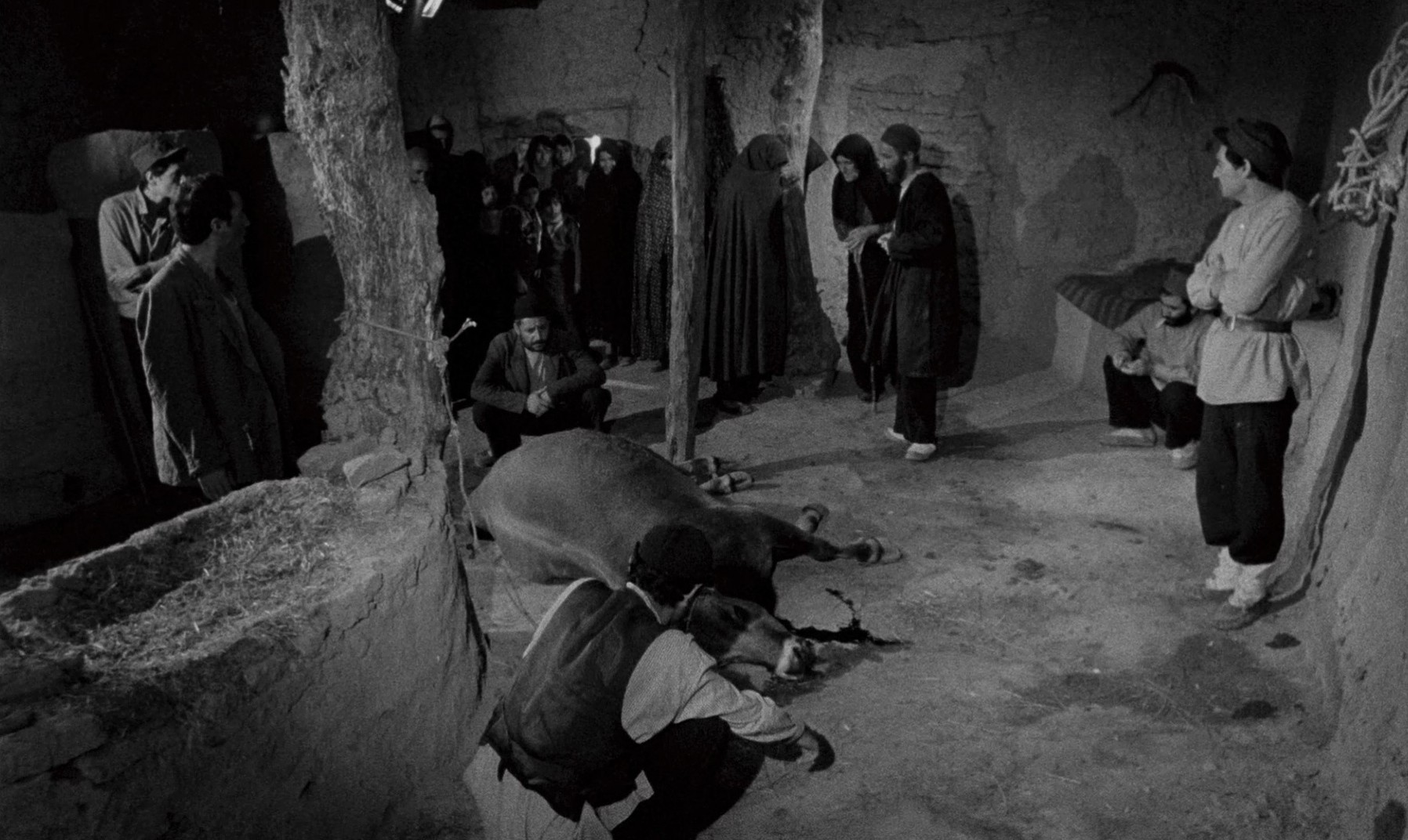 Gaav (1971) —  shot,  lighting