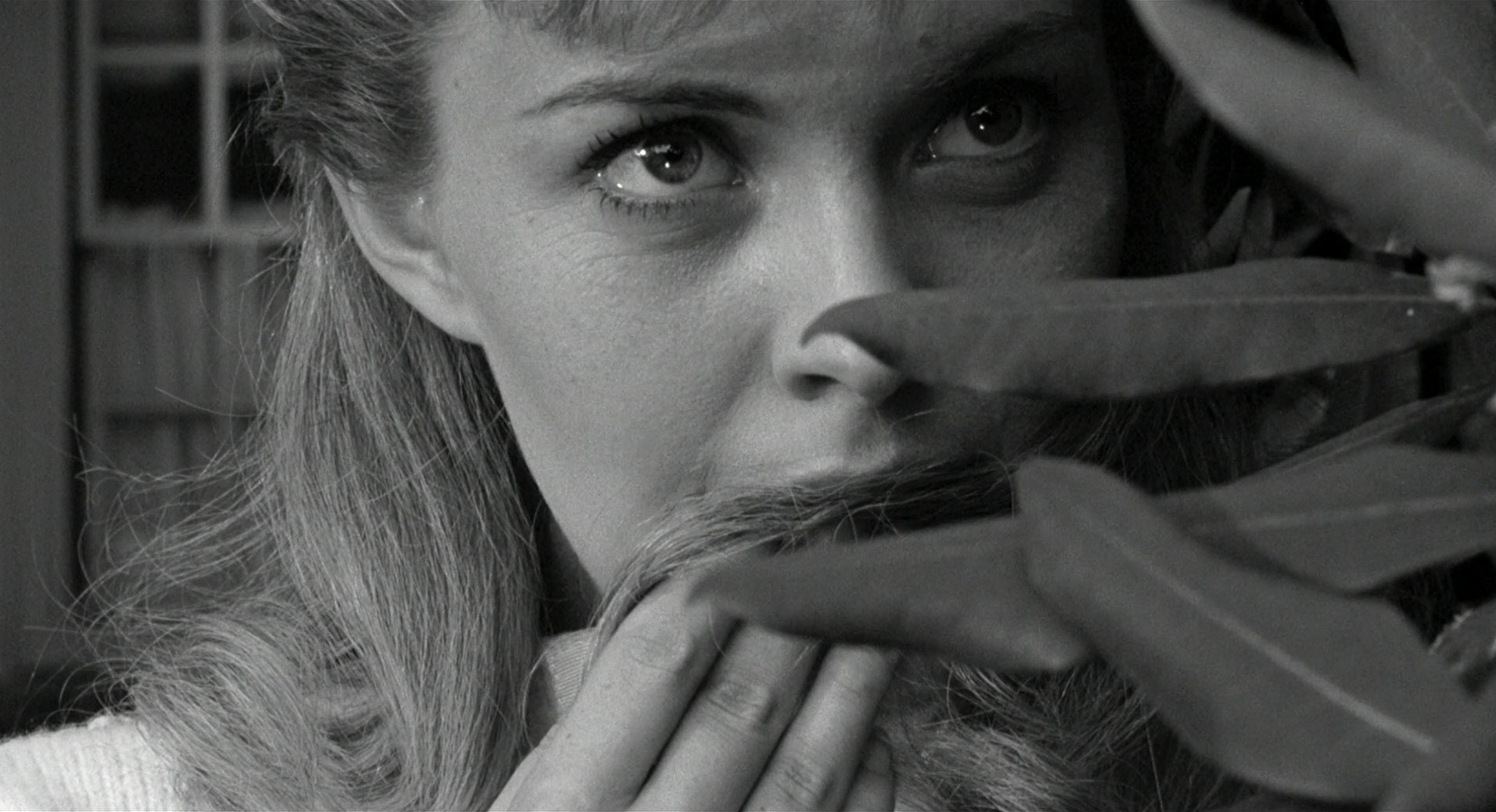 Lilith (1964) —  shot,  lighting