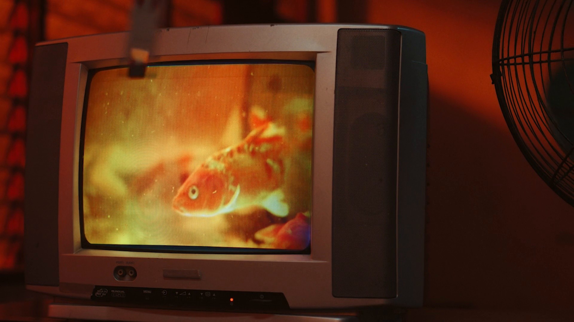 Zara - The Color of the Night (2025) —  shot,  lighting