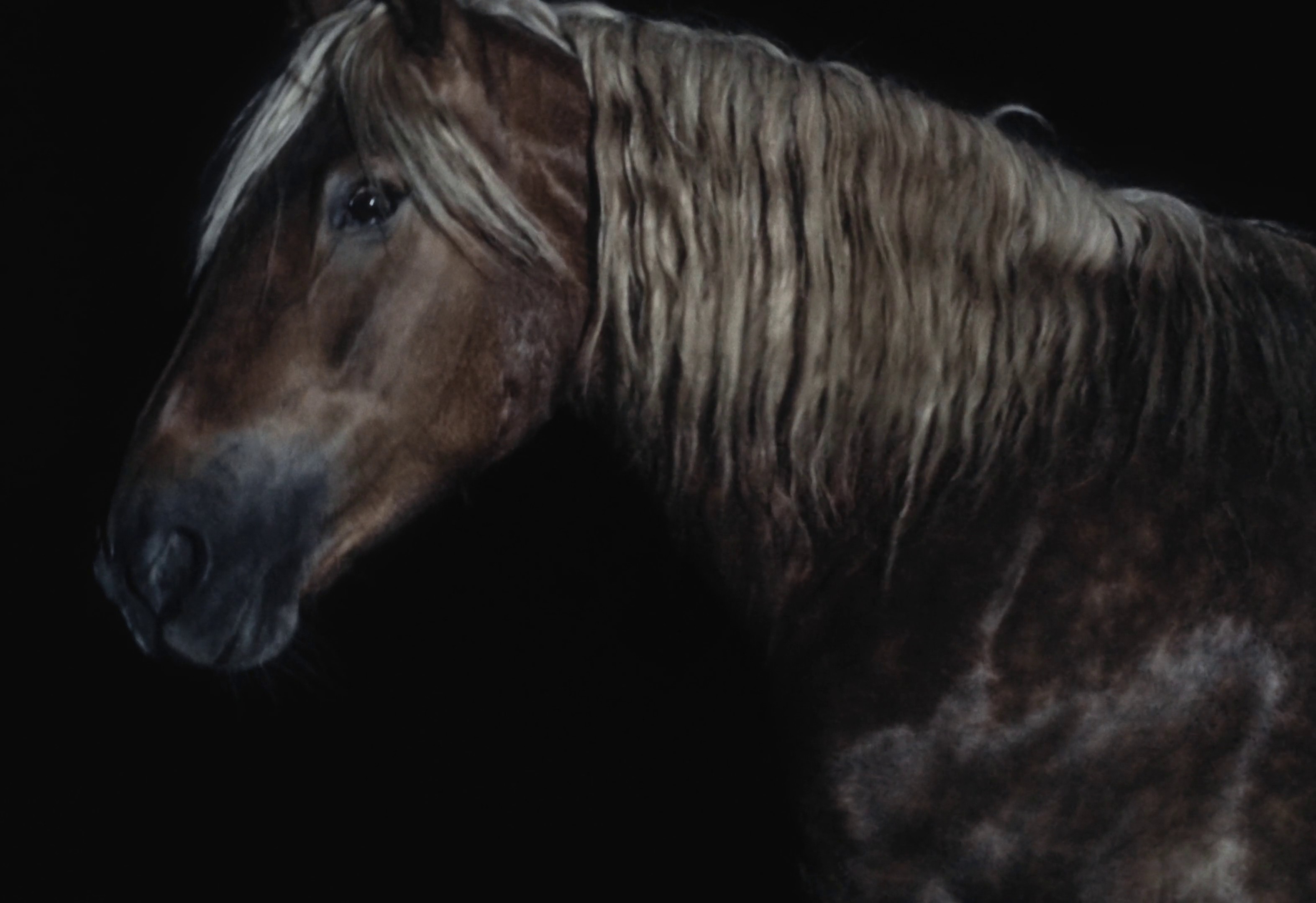 Porsche Design x Aksel Lund Svindal (DC) (2024) —  shot,  lighting