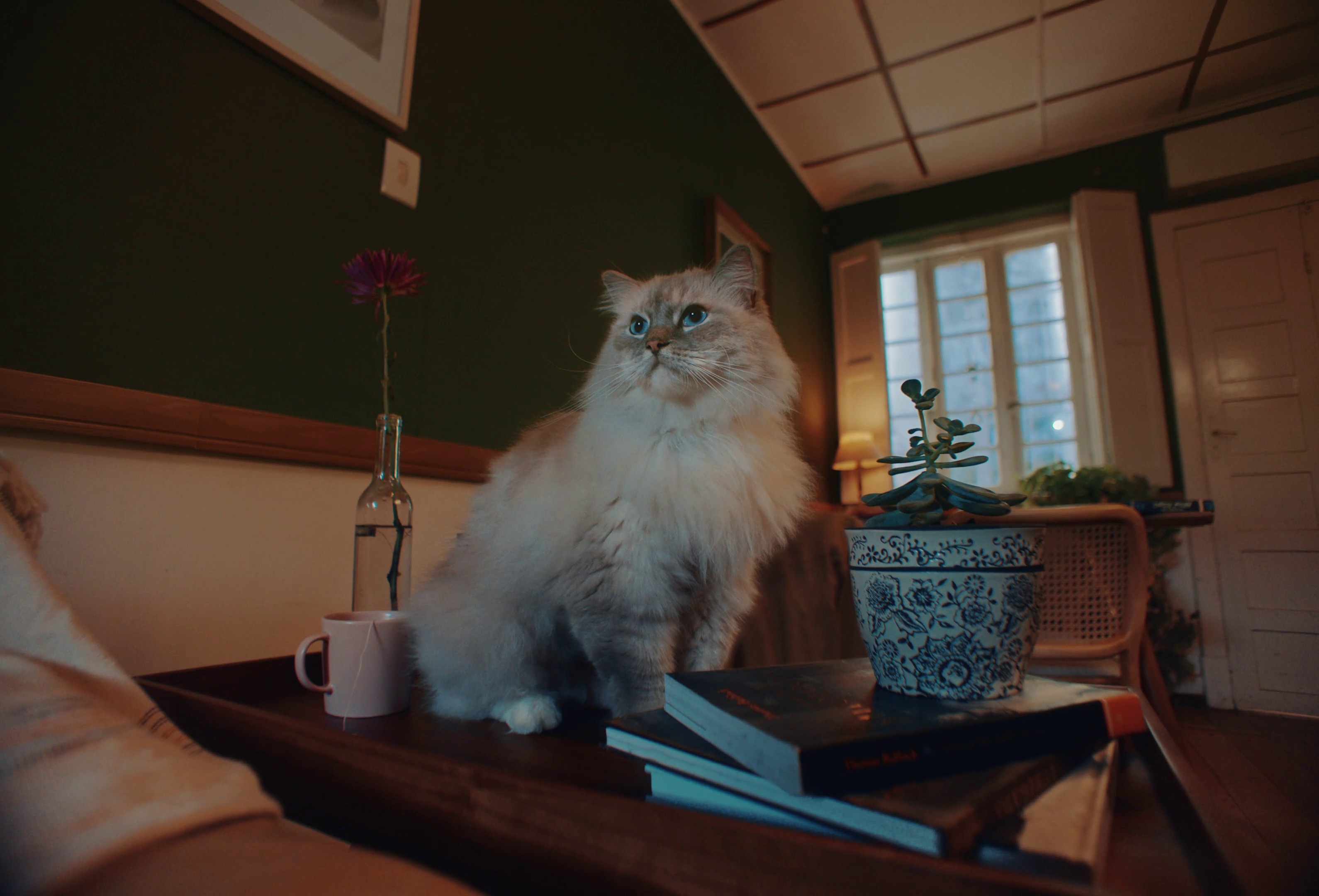 Uber - Lost Keys (2023) —  shot,  lighting