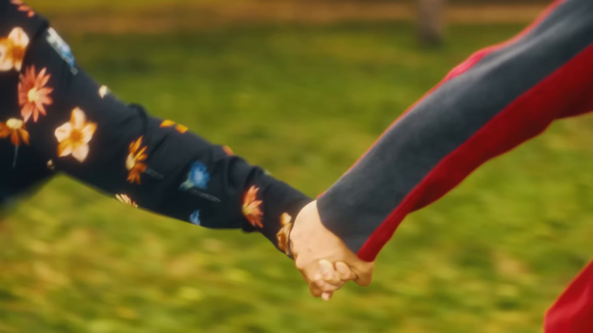 Picture Window (2025) —  shot,  lighting