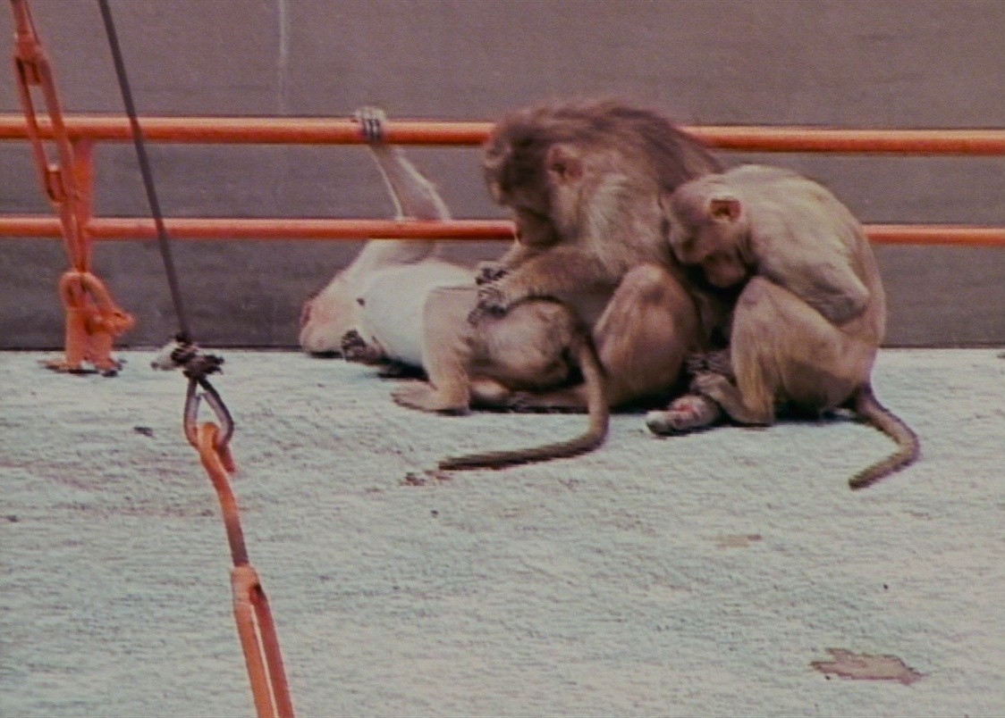 Ritual (2000) —  shot,  lighting