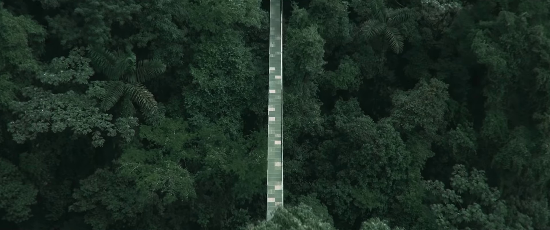 This is not the end  (2022) —  shot,  lighting