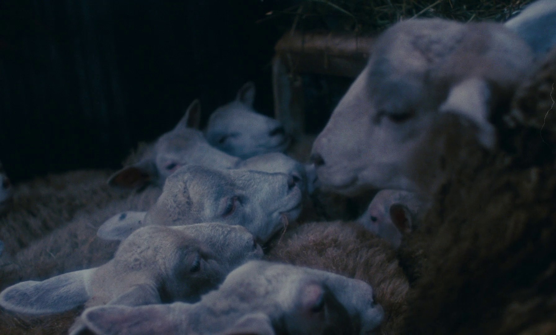 Immoral Women (1979) —  shot,  lighting