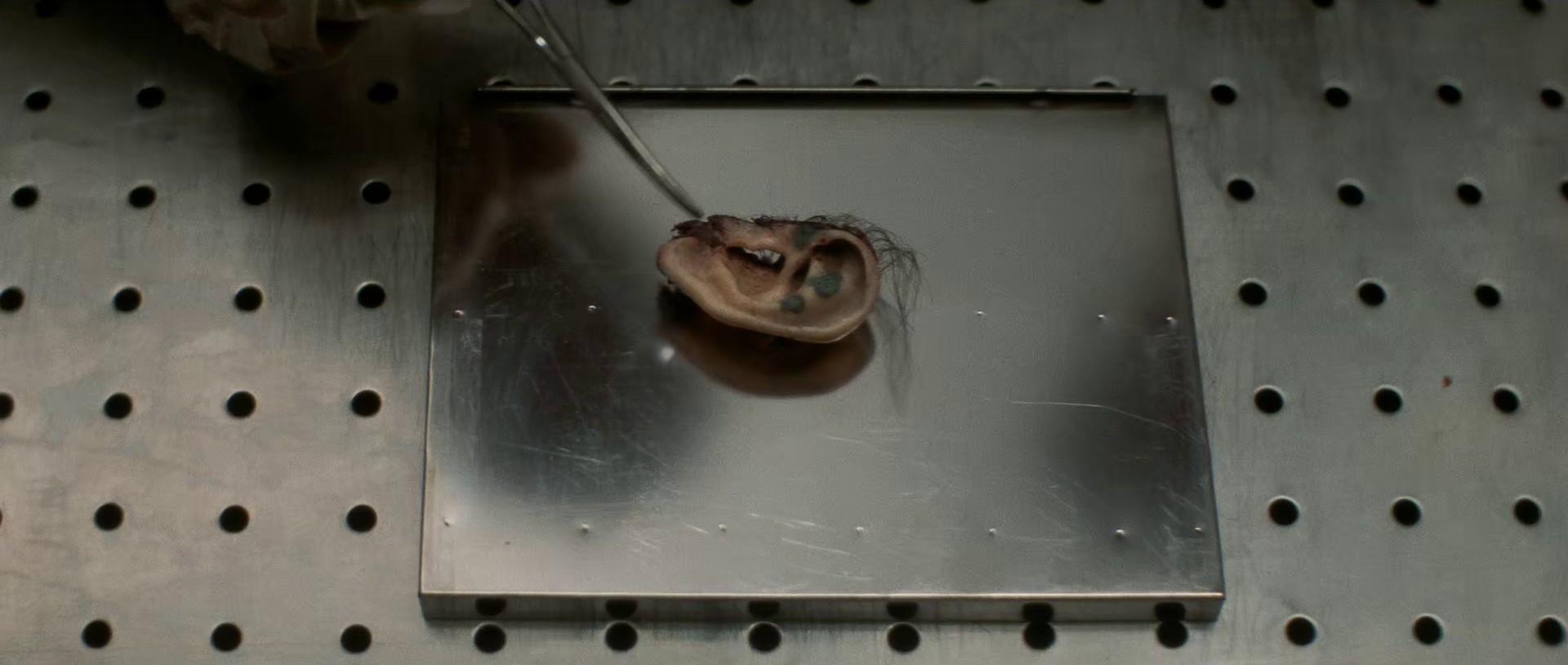 Blue Velvet (1986) —  shot,  lighting