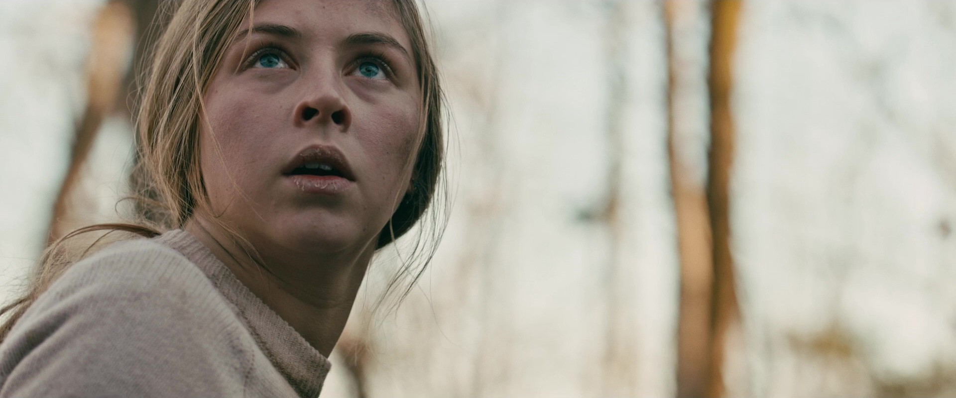 Rust Creek (2018) —  shot,  lighting