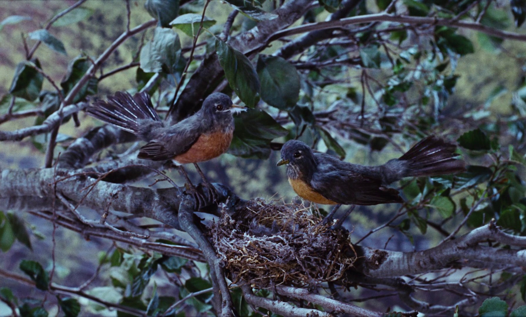 Mary Poppins (1964) —  shot,  lighting
